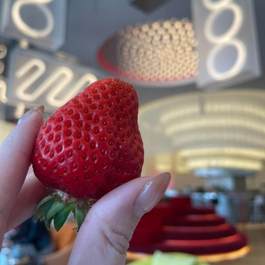 太田莉加さんのインスタグラム写真 - (太田莉加Instagram)「・ ・  Ethical Strawberry Afternoon Tea🍓☕️✨ どれも美味しかったけど ずっと氣になってた @buttobi_berry_organic  のイチゴ食べれて幸せ〜🤤🍓  大きくてめちゃくちゃ美味しかった😍  @ayachi0120  @sarixoxo101  いつもありがとう💕   #アフタヌーンティー #W大阪  #w大阪アフタヌーンティー  #無農薬いちご」3月25日 17時45分 - rikapanda.official