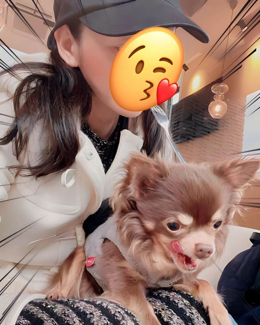 杉原杏璃のインスタグラム：「ブランチって事ね♡  オフ過ぎて顔を自粛しておきました🤚  午前中にご飯食べに行くの最近、結構好き♡ 10時くらいに朝昼ごはん兼ねて🥞♡  愛犬の方が食べる気満々💪 🐶💭犬には味が濃いので食べさせないけど...  せっかくの美味しいモノを雑に撮ってすみませんw  こーいうのにこだわり一切ないタイプなので映える　とか　　？？？？？  早く食べたいが優先なので🤚w  それでは皆さん　 ステキな週末をお過ごしください🍀  ※ 3月いっぱいでここのLINEブログでのブログ更新ができなくなります。 アメブロでは引き続きブログ更新していくので アメブロもよろしくお願いします。⬇︎ https://ameblo.jp/sugihara-anri/  #アメブロ  #杉原杏璃 #sugiharaanri #anrisugihara #Japanese#girl #グラビア#グラドル#glamor#gravure#hot#asian」