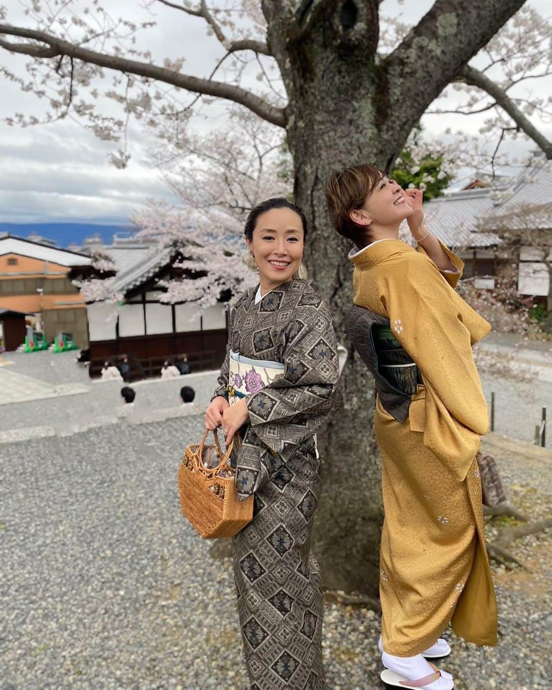 トムセン陽子さんのインスタグラム写真 - (トムセン陽子Instagram)「ドイツ留学時代の親友と3人で1泊2日の京都旅行に行ってきました。  それぞれ住んでる所がバラバラ。 東京、和歌山、大阪から京都待ち合わせで集結✌️  友人の提案で「着物着よう〜👘」という話になり、着物姿で清水寺エリアを散策✨  桜満開でとーっても綺麗だった🌸  引くぐらい写真撮ったので笑、しばらく京都写真続きまーす♬🥰  #京都 #kyoto #着物」3月25日 17時55分 - yokothomsen