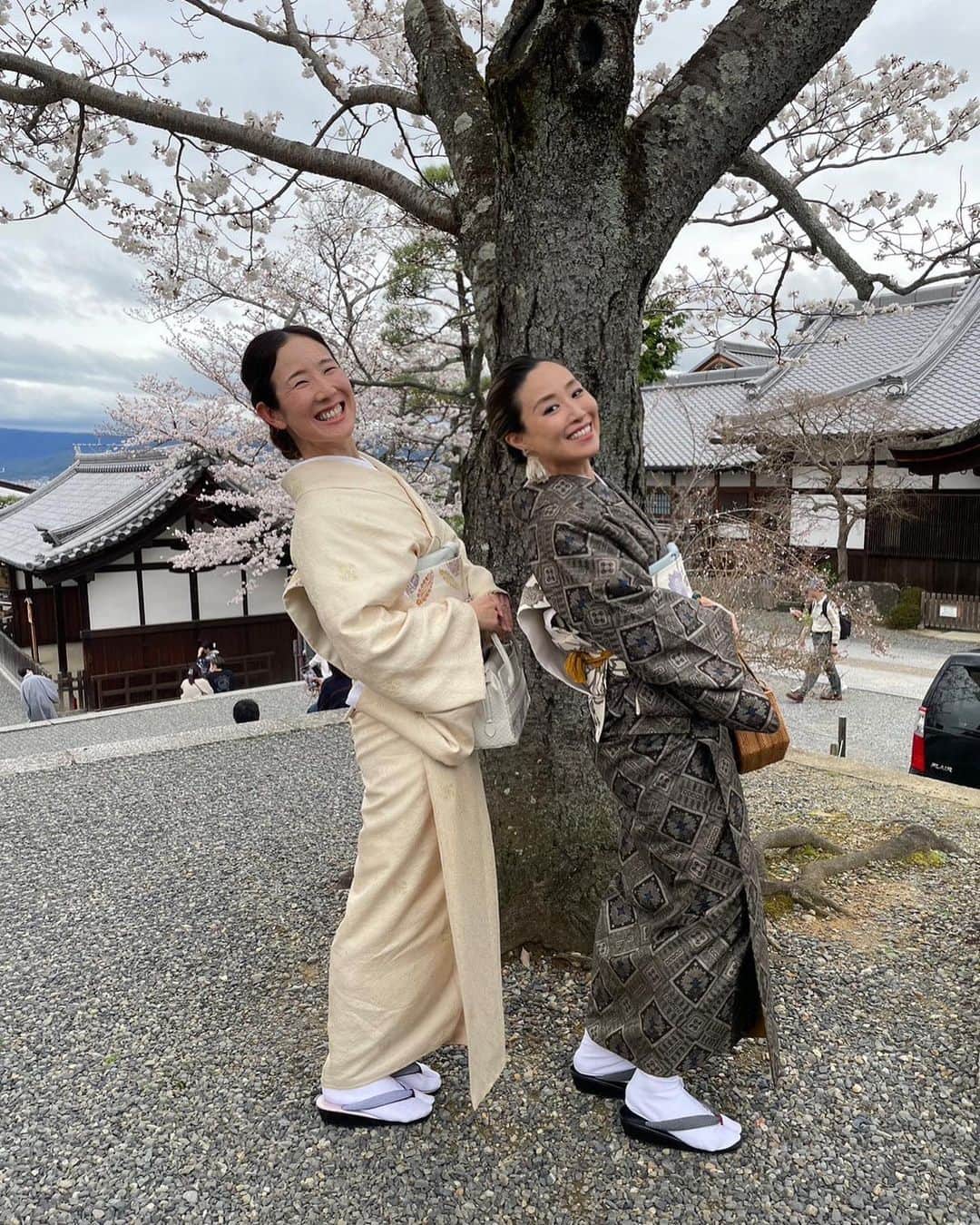 トムセン陽子さんのインスタグラム写真 - (トムセン陽子Instagram)「ドイツ留学時代の親友と3人で1泊2日の京都旅行に行ってきました。  それぞれ住んでる所がバラバラ。 東京、和歌山、大阪から京都待ち合わせで集結✌️  友人の提案で「着物着よう〜👘」という話になり、着物姿で清水寺エリアを散策✨  桜満開でとーっても綺麗だった🌸  引くぐらい写真撮ったので笑、しばらく京都写真続きまーす♬🥰  #京都 #kyoto #着物」3月25日 17時55分 - yokothomsen