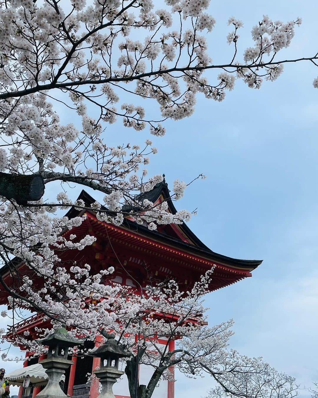 トムセン陽子さんのインスタグラム写真 - (トムセン陽子Instagram)「ドイツ留学時代の親友と3人で1泊2日の京都旅行に行ってきました。  それぞれ住んでる所がバラバラ。 東京、和歌山、大阪から京都待ち合わせで集結✌️  友人の提案で「着物着よう〜👘」という話になり、着物姿で清水寺エリアを散策✨  桜満開でとーっても綺麗だった🌸  引くぐらい写真撮ったので笑、しばらく京都写真続きまーす♬🥰  #京都 #kyoto #着物」3月25日 17時55分 - yokothomsen
