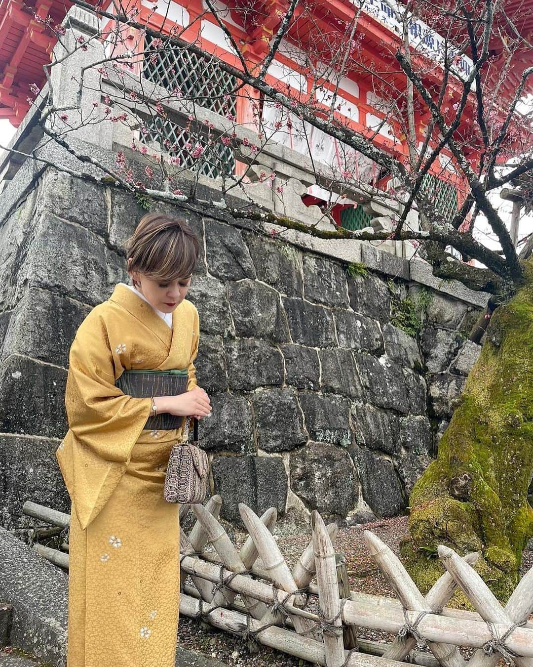 トムセン陽子さんのインスタグラム写真 - (トムセン陽子Instagram)「ドイツ留学時代の親友と3人で1泊2日の京都旅行に行ってきました。  それぞれ住んでる所がバラバラ。 東京、和歌山、大阪から京都待ち合わせで集結✌️  友人の提案で「着物着よう〜👘」という話になり、着物姿で清水寺エリアを散策✨  桜満開でとーっても綺麗だった🌸  引くぐらい写真撮ったので笑、しばらく京都写真続きまーす♬🥰  #京都 #kyoto #着物」3月25日 17時55分 - yokothomsen
