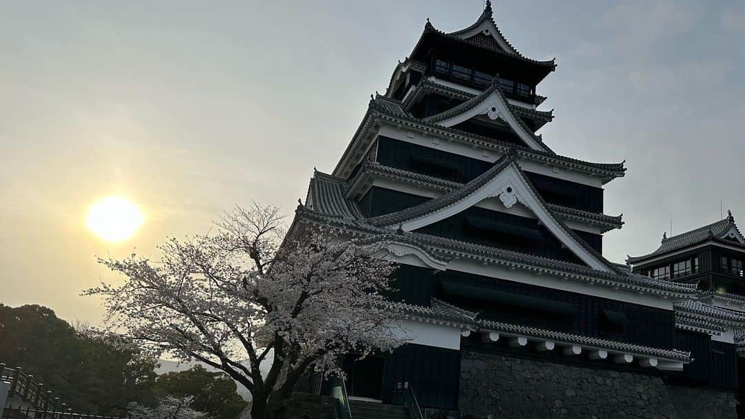 志麻さんのインスタグラム写真 - (志麻Instagram)「熊本城、行ってきた。  楽しかったー！  桜も綺麗やった🌸　  #志麻 #熊本城 #桜」3月25日 18時20分 - shima__s2