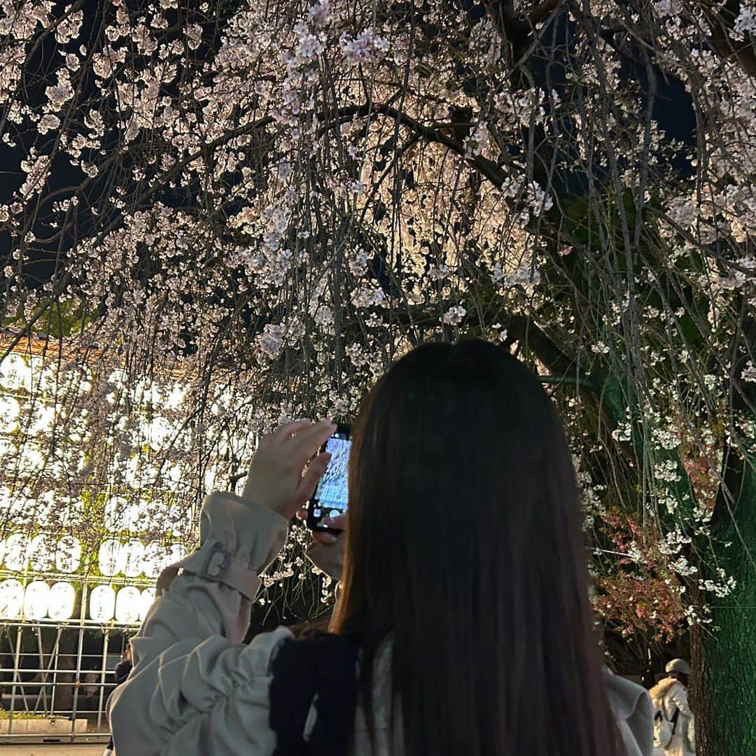 前川歌音さんのインスタグラム写真 - (前川歌音Instagram)「これまたお散歩夜桜🌸 ねえさんと👩‍👧  #夜桜 #お花見  #桜」3月25日 18時38分 - kanon_maekawa