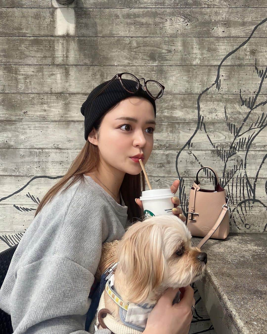 Nanamiさんのインスタグラム写真 - (NanamiInstagram)「. アネとカフェした日🐶  リールにも載せたことある SHEINのトレーナー♡ やっぱり相当可愛い、大当たり🎯  #shein#zara#moussy#tods#todsbag#shein購入品#sheinコーデ#カジュアルコーデ#デニム#ニット帽#ペキプー」3月25日 18時49分 - nana27chan