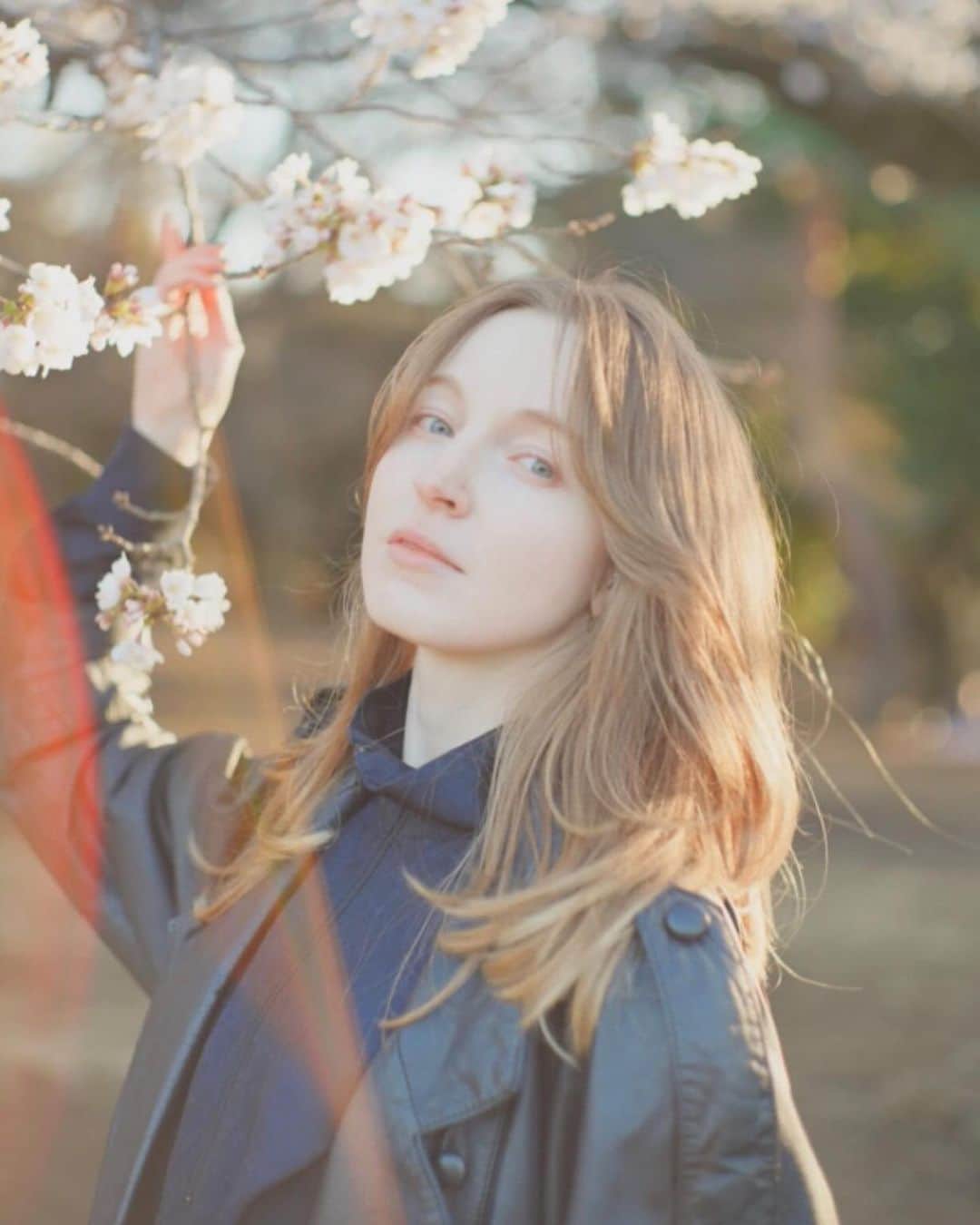 Lisaのインスタグラム：「偶然に桜とポートレート撮って頂きました🌸 やっぱりフィルムカメラの写真は独特な魅力がありますね✨ @camera_and_catさん、ありがとうございます！  #桜 #sakura」