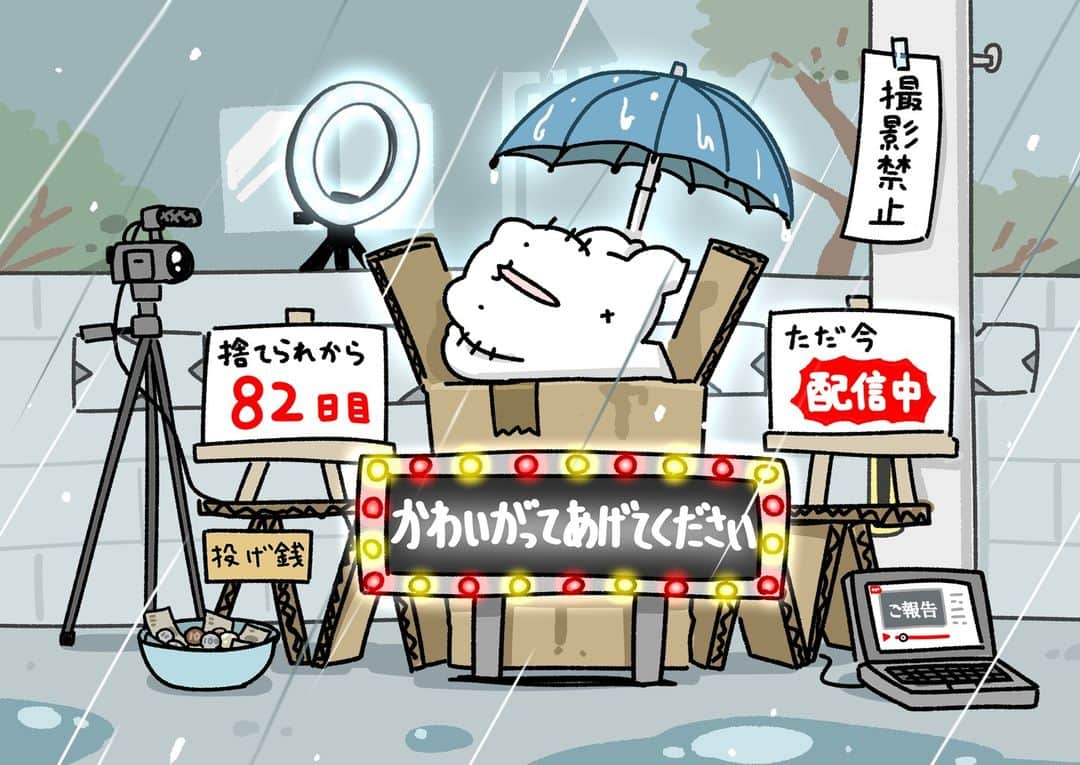 からめるさんのインスタグラム写真 - (からめるInstagram)「クソ図々しい捨て猫 #からめる #illustration #anime #cat」3月25日 19時05分 - purinharumaki_karameru