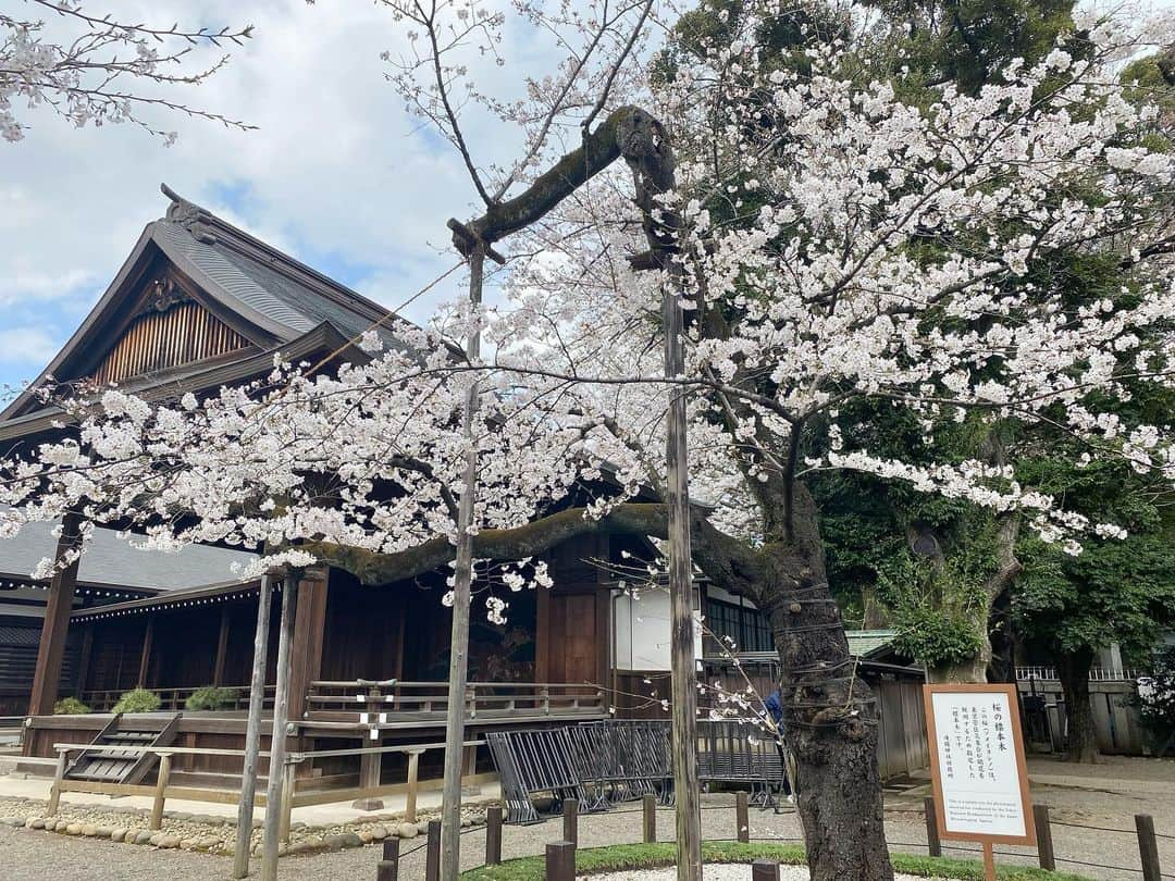 江川清音のインスタグラム