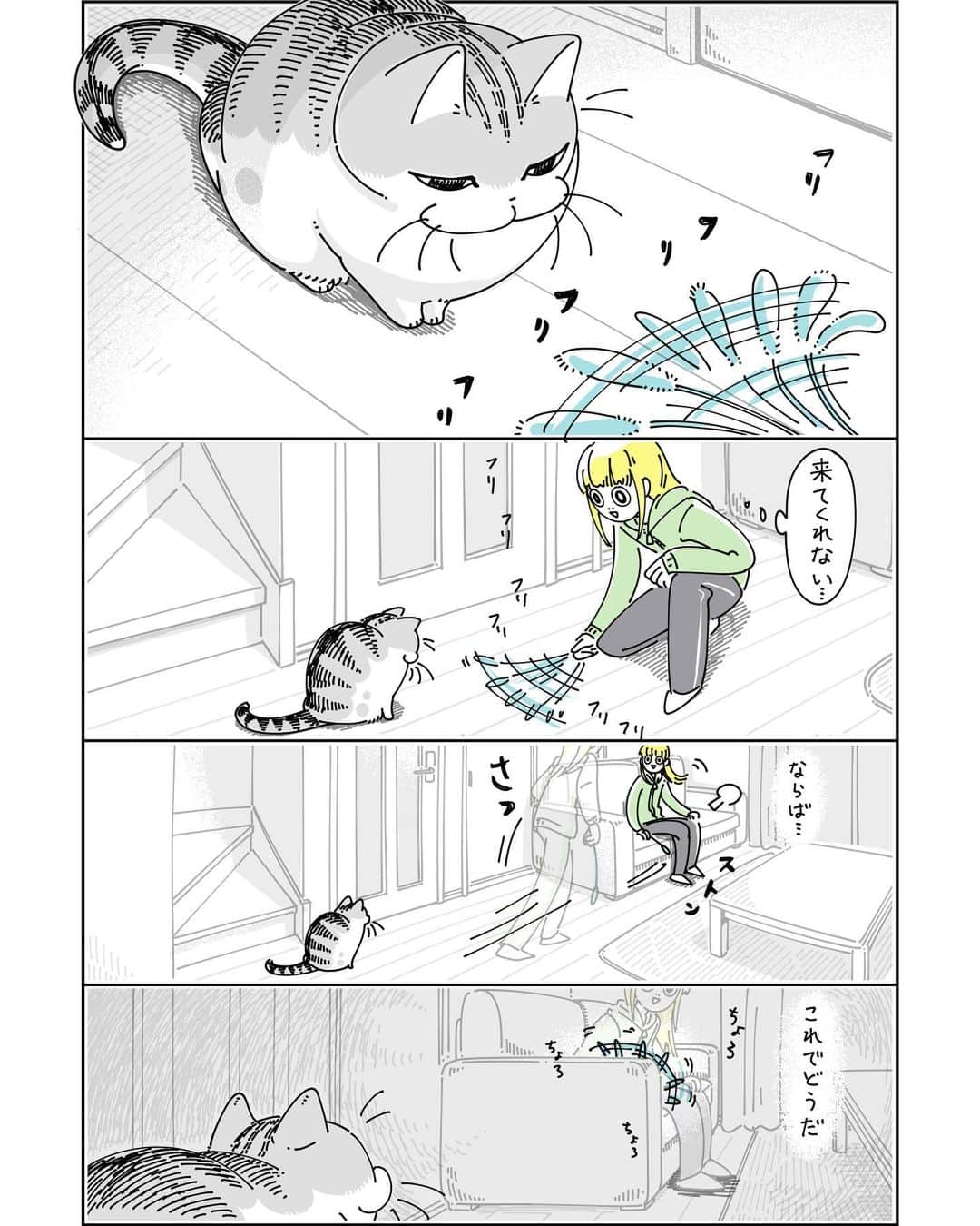 キュルZのインスタグラム：「ものかげでちらちらするネコじゃらし  #キュルガ #夜は猫といっしょ #猫 #cat #猫漫画 #猫のいる暮らし」
