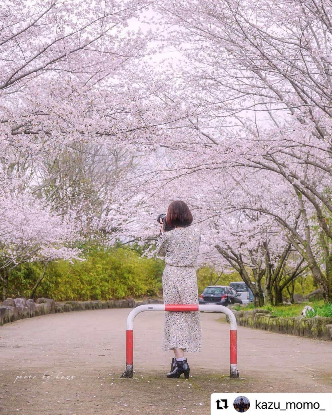 倉敷市さんのインスタグラム写真 - (倉敷市Instagram)「#クラシキブンカ に投稿された作品からいいなと思う作品をリポストさせてもらっています。  @kazu_momo_さんの作品です。 よろしくお願いします。  Repost @kazu_momo_ with @use.repost ・・・ ✴︎ ✴︎ 桜🌸ポトレ ✴︎ ✴︎ 駐車場のすぐ近くに 黄色の水仙が きれいに咲いてるとの情報✨ ✴︎ ✴︎ 行って見ると 桜🌸もほぼ満開♡ ✴︎ ✴︎ SONYα7IIIの練習に ✴︎ 人にピントが なかなか来なくて やっぱり難しい😆 ✴︎ ✴︎ Canonみたいに タッチ操作が できないので 超ムズイ ✴︎ ✴︎  location:倉敷市（亀島山） camera:SONYα7III lens:SONY28-70 ✴︎ ✴︎  #raw_japan  #look_japan  #total_japan  #はなまっぷ #my_eos_photo  #japan_photogroup  #find_new_okayama  #love_bestjapan #japan_bestpic_  #i_c_part  #colore_de_saison  #special_spot_  #team_jp_  #total_nature_japan  #日本を元気にしたい  #sharaku_photostudio  #tokyocameraclub  #小微笑club  #sumasumatai_love  #にじいろトリップ #じゃびふる #おかやまハレ旅  #クラシキブンカ  #total_nature_japan #高梁川流域自慢  #setouchifinder  #みんすと桜祭  #let_allphotos  #おかやまハル旅  #lovers_nippon  #おとな旅プレミアム   2023.03.24 岡山県倉敷市」3月25日 20時27分 - kurashiki_city