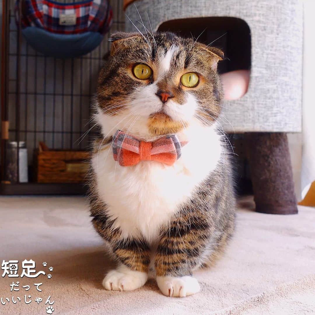 Len Cynthiaのインスタグラム