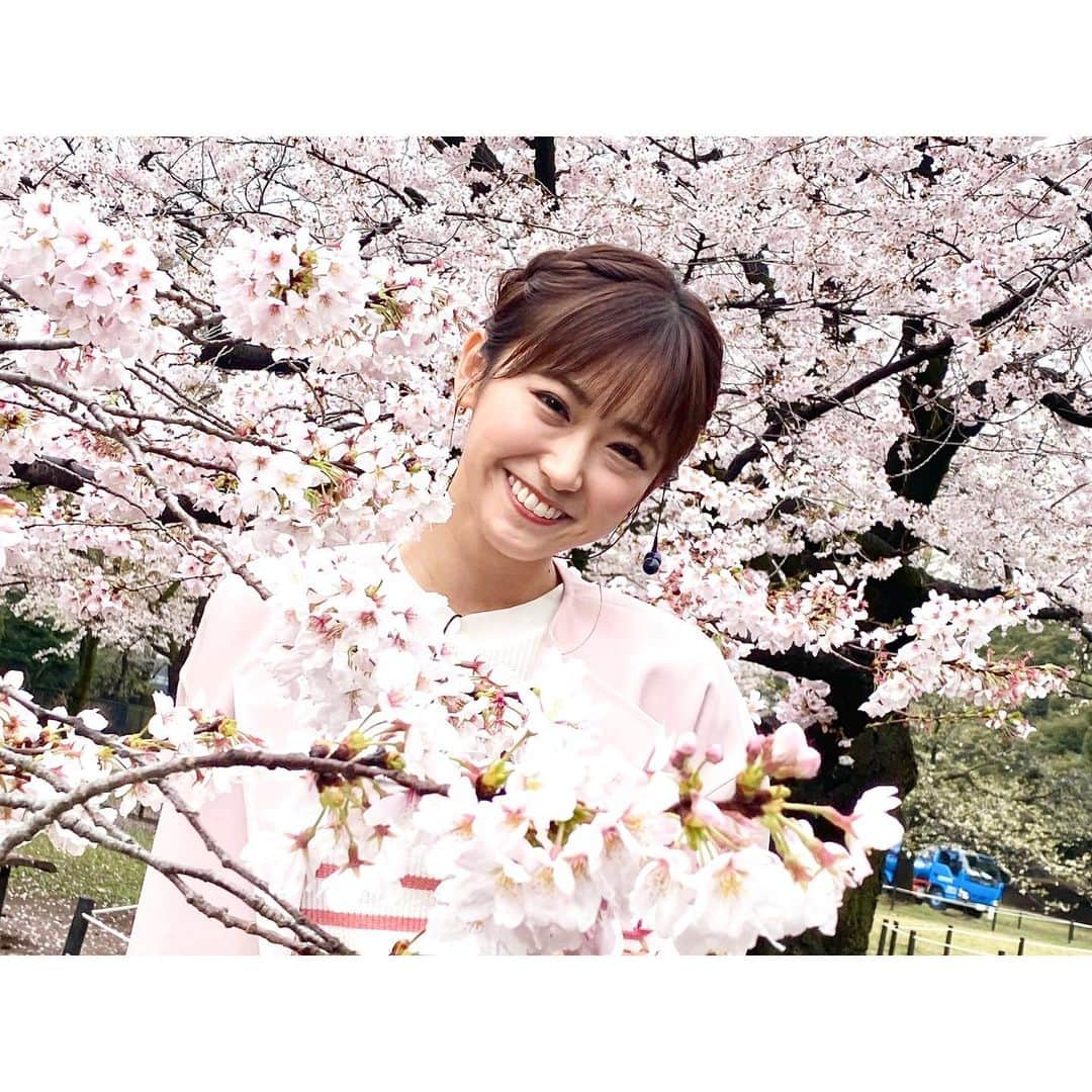 嶺百花のインスタグラム：「代々木公園の桜が満開で綺麗でした🌸コートも桜カラーに🌸💕  今年は大学の卒業式があったので少し早めに桜が満開になってくれて嬉しかったです😊卒業式の写真はまた投稿しますね！  #桜#さくら#桜並木#お花見#お花見コーデ#お花見スポット」