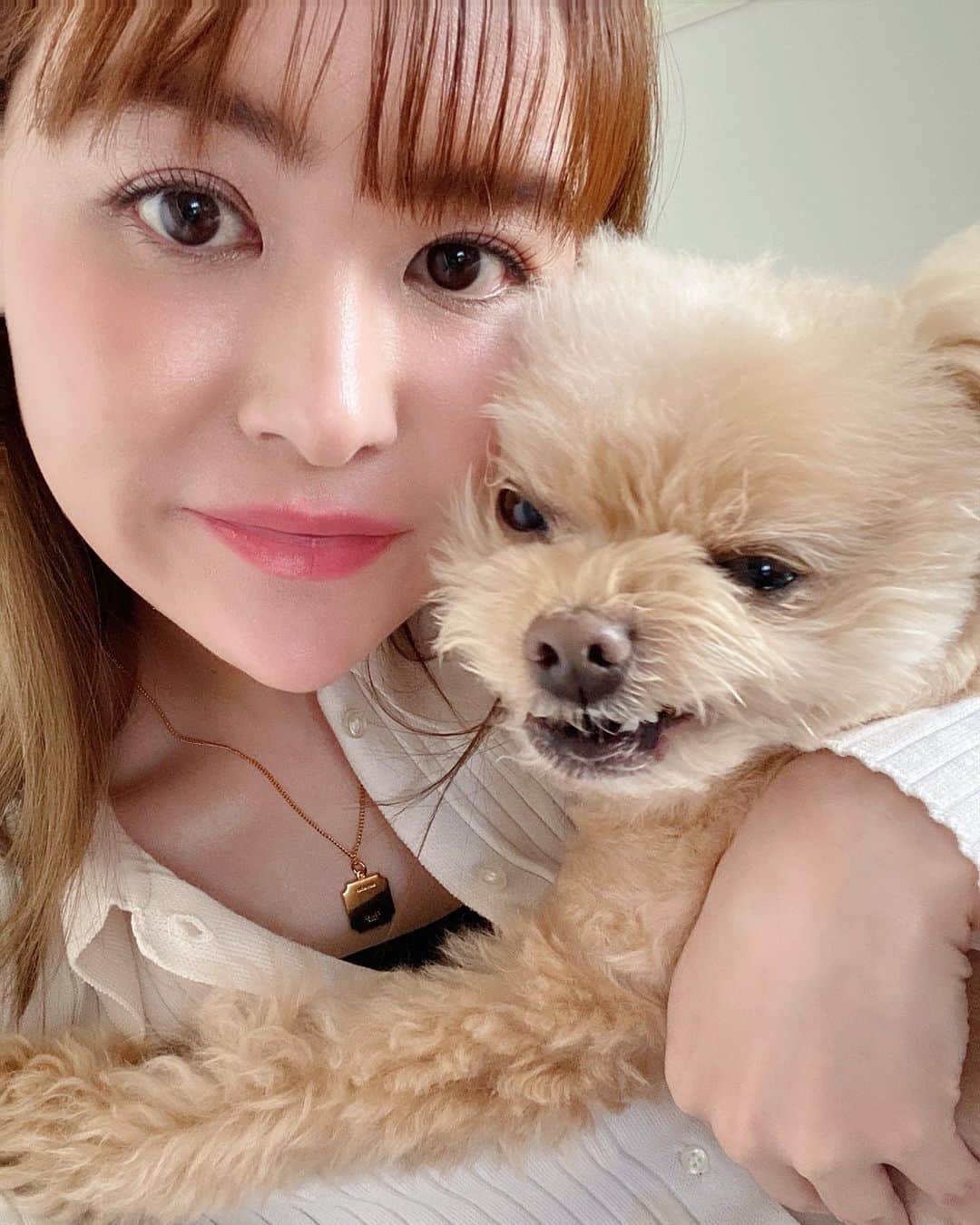 津久江麻由さんのインスタグラム写真 - (津久江麻由Instagram)「公園には行きたくない！！ のラヴリです😅✌️💕  抱っこして公園に連れていくと、 公園ではルンルンです😉😉  ⁡ ┈┈┈┈┈┈┈┈┈┈┈┈┈┈┈┈┈┈┈ ⁡ 📍@mayu_tsukue ⿴ 166𝘤𝘮 75𝘬𝘨 ⇢ 49𝘬𝘨 ❪ −２６𝘬𝘨 の減量達成！ ❫ ⿴双子ママ 👶🏻ིྀ👶🏻ིྀ ⿴ニキビ大量にありました! (ニキビ再発しました🍫ニキビ消す方法を 自肌で実験中🧪) ↳ 美容医療・スキンケア・ダイエットについてストーリーで発信しています🖇️📢💬 ⁡ ┈┈┈┈┈┈┈┈┈┈┈┈┈┈┈┈┈┈┈┈  #愛犬との暮らし #愛犬のいる生活 #犬好きさんと繋がりたい #犬のいる暮らし #ポメプー #ぽめぷー #もふもふ部 #犬好きな人と繋がりたい #犬スタグラム #犬バカ部 #犬バカ #愛犬との時間 #わんこのいる生活 #わんこのいる暮らし #わんこなしでは生きていけません会 #わんすたぐらむ #散歩拒否犬」3月25日 20時50分 - mayu_tsukue