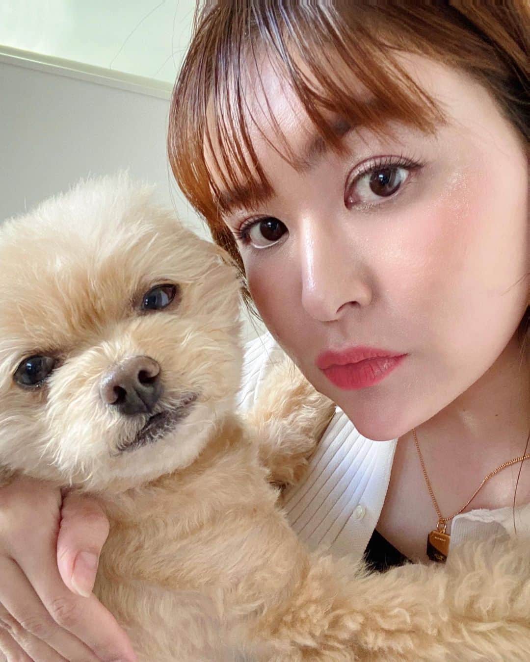 津久江麻由さんのインスタグラム写真 - (津久江麻由Instagram)「公園には行きたくない！！ のラヴリです😅✌️💕  抱っこして公園に連れていくと、 公園ではルンルンです😉😉  ⁡ ┈┈┈┈┈┈┈┈┈┈┈┈┈┈┈┈┈┈┈ ⁡ 📍@mayu_tsukue ⿴ 166𝘤𝘮 75𝘬𝘨 ⇢ 49𝘬𝘨 ❪ −２６𝘬𝘨 の減量達成！ ❫ ⿴双子ママ 👶🏻ིྀ👶🏻ིྀ ⿴ニキビ大量にありました! (ニキビ再発しました🍫ニキビ消す方法を 自肌で実験中🧪) ↳ 美容医療・スキンケア・ダイエットについてストーリーで発信しています🖇️📢💬 ⁡ ┈┈┈┈┈┈┈┈┈┈┈┈┈┈┈┈┈┈┈┈  #愛犬との暮らし #愛犬のいる生活 #犬好きさんと繋がりたい #犬のいる暮らし #ポメプー #ぽめぷー #もふもふ部 #犬好きな人と繋がりたい #犬スタグラム #犬バカ部 #犬バカ #愛犬との時間 #わんこのいる生活 #わんこのいる暮らし #わんこなしでは生きていけません会 #わんすたぐらむ #散歩拒否犬」3月25日 20時50分 - mayu_tsukue