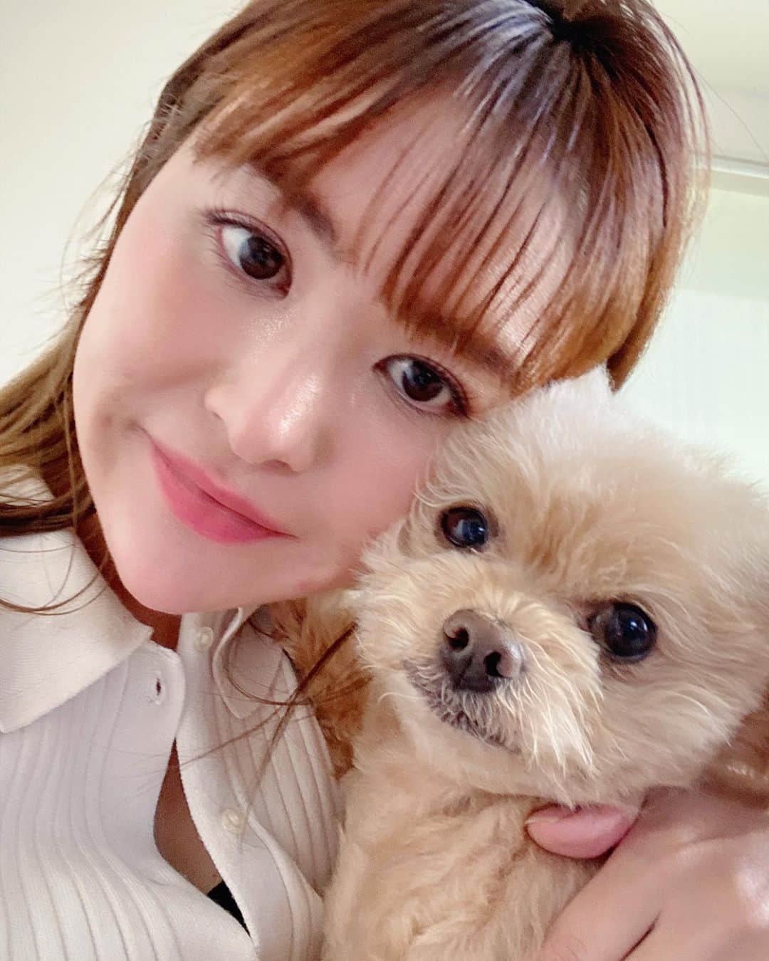 津久江麻由さんのインスタグラム写真 - (津久江麻由Instagram)「公園には行きたくない！！ のラヴリです😅✌️💕  抱っこして公園に連れていくと、 公園ではルンルンです😉😉  ⁡ ┈┈┈┈┈┈┈┈┈┈┈┈┈┈┈┈┈┈┈ ⁡ 📍@mayu_tsukue ⿴ 166𝘤𝘮 75𝘬𝘨 ⇢ 49𝘬𝘨 ❪ −２６𝘬𝘨 の減量達成！ ❫ ⿴双子ママ 👶🏻ིྀ👶🏻ིྀ ⿴ニキビ大量にありました! (ニキビ再発しました🍫ニキビ消す方法を 自肌で実験中🧪) ↳ 美容医療・スキンケア・ダイエットについてストーリーで発信しています🖇️📢💬 ⁡ ┈┈┈┈┈┈┈┈┈┈┈┈┈┈┈┈┈┈┈┈  #愛犬との暮らし #愛犬のいる生活 #犬好きさんと繋がりたい #犬のいる暮らし #ポメプー #ぽめぷー #もふもふ部 #犬好きな人と繋がりたい #犬スタグラム #犬バカ部 #犬バカ #愛犬との時間 #わんこのいる生活 #わんこのいる暮らし #わんこなしでは生きていけません会 #わんすたぐらむ #散歩拒否犬」3月25日 20時50分 - mayu_tsukue