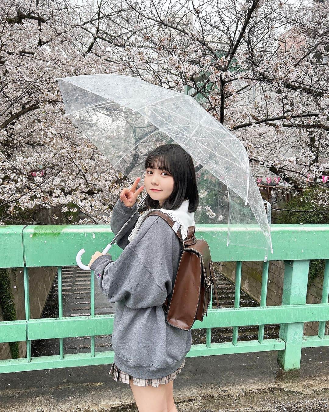 みさねのインスタグラム：「目黒川でお花見〜🌸 雨だったけど綺麗で楽しかった☔️💗 ㅤ 今日から新作つけ襟販売開始ですかわいすぎる〜꒰♡꒱ ㅤ スウェット チャンピオン古着 @furugiyarushout  スカートつけ襟リュック @cham.official_  ㅤ #お花見 #お花見コーデ #お花見デート #目黒川 #目黒川の桜 #桜 #デートスポット #デートコーデ #カップルフォト #カップル #カップルコーデ #古着 #古着コーデ #フルジョ #ボブ #ボブアレンジ #ボブヘアアレンジ」