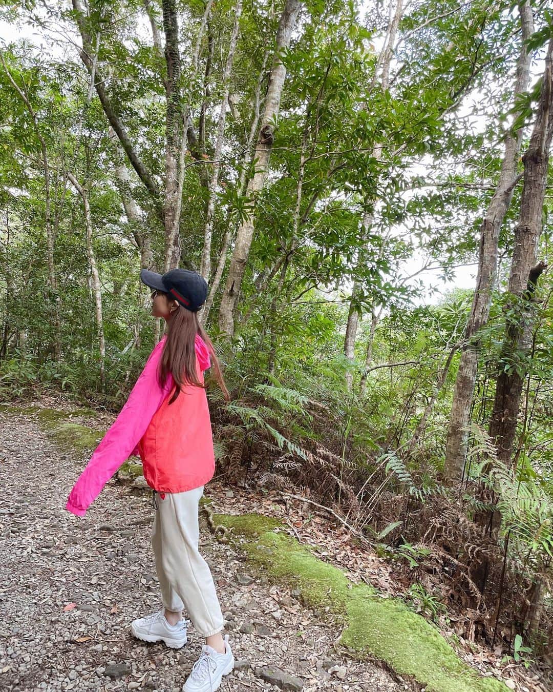 吉岡結紀のインスタグラム：「.   金作原原生林 散策🚶🏼‍♀️🌳☀️ 　 金作原には認定ガイドさんが一緒じゃないと行けなくて 今回 @slowguide_amami のツアーに参加しました🌈  タイミングよく参加者が私たちだけだったので 面白くて素敵なガイドさんに 色々教えてもらいながら 自然大満喫できた🥰🌳  なかなかこんな大自然に触れることないから 本当最高でした🥺🌸 　 #奄美大島 #奄美大島旅行 #金作原 #金作原原生林 #金作原散策 #世界自然遺産 #yukitrip_jp」