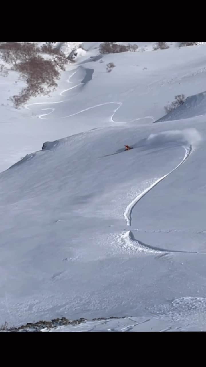 中井孝治のインスタグラム：「気持ち良かったシリーズ🔥🏔 ずっとトップスピードでイケる沢  シャバ雪最高なんだけど！ パウダーあるなら探し隊w 3/15 だからサイコーだった説😁  @salomonsnowboards @salomonsnowboardsjapan #salomonsnowboardsjapan @volcomjapan #volcomjapan @platepia_japan #revoltgoggles #segawa_nouen #toko #msrgear_japan #msr #coif #hps #hillsideproject #purejammovie #横乗り塾 #いらおじゃ」