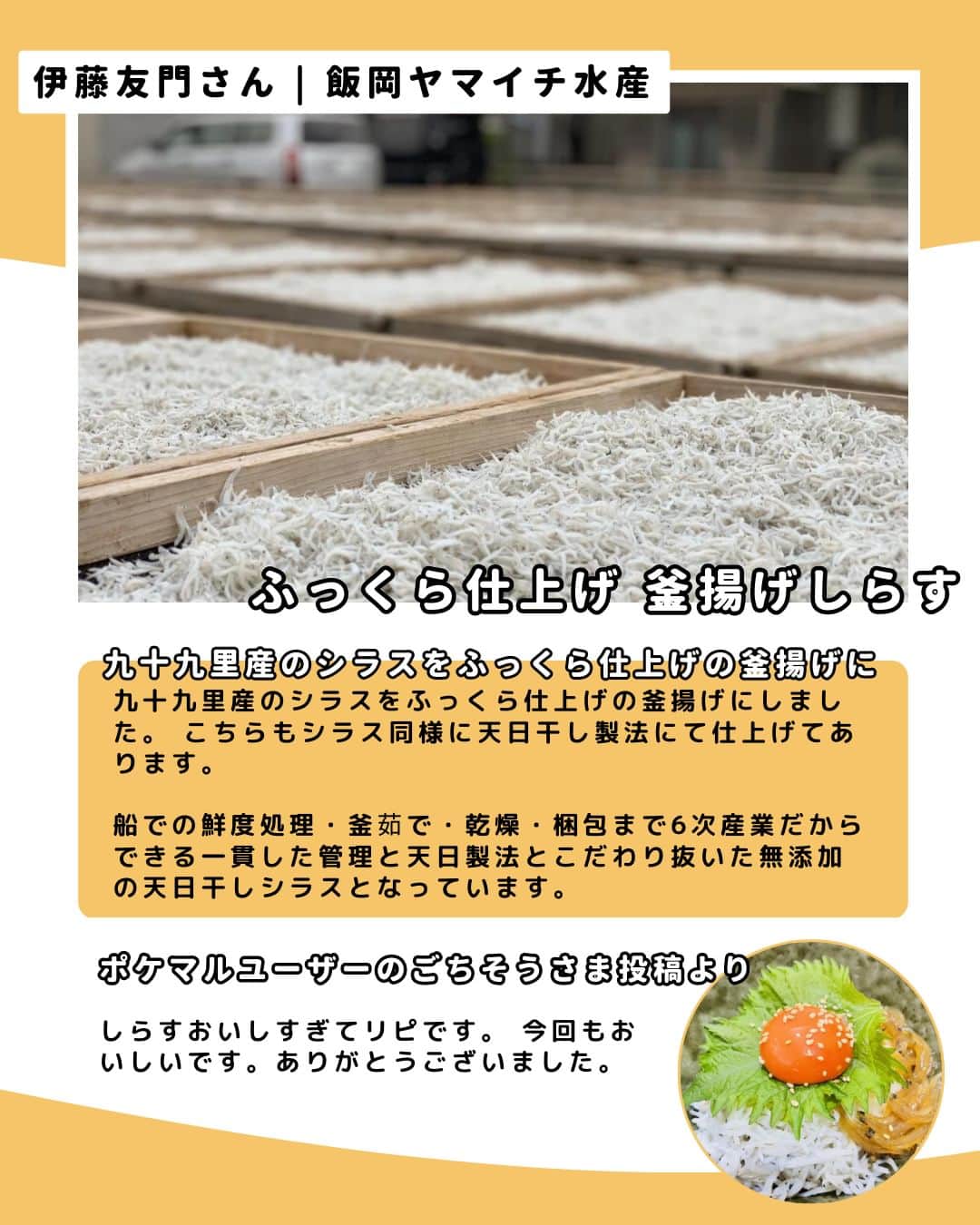 ポケットマルシェ(ポケマル) さんのインスタグラム写真 - (ポケットマルシェ(ポケマル) Instagram)「３月 オススメ食材【しらす】 ………………………… . #しらす は日本の食文化において広く親しまれている食材の一つ🌸 . そのまま食べる他にも、ご飯に乗せたり、納豆や卵焼きと一緒に食べたりすることが多いですが ✨ブルスケッタ ✨しらすのピザ ✨お酒のお供に ✨釜揚げしらすと大根おろしのペペロンチーノ など色んな食べ方を生産者さん・ポケマルユーザーさんがされていたので、その一部をご紹介いたします💁‍♀️ . 感想を見て食べたくなったらそのまま購入することもできますよ😋 ………………………… . 今回ご紹介した以外にも、ポケマルでは多くしらすを販売されている生産者さんがいらっしゃいます😊 . ポケマル公式アカウントのリンクよりポケマルwebサイトにアクセスしていただき「しらす」と検索すると、そのとき購入できる生産者さんが表示されますので 気になる方は公式サイトを覗いてくださいね✨ . ………………………… . 産直EC「ポケマル」では 📌産地直送の食材を紹介 📌生産者さんの紹介 📌ポケマルのキャンペーン を日々投稿しています！ . 投稿が気になったらフォローお願いします👉 @pocket.marche . ﹋﹋﹋﹋﹋﹋﹋﹋﹋﹋﹋﹋ . #ポケットマルシェ #ポケマル #通販グルメ #お取り寄せギフト #pocketmarche #漁師直送 #産地直送 #生産者応援 #しらす丼 #しらすご飯 #しらすレシピ #しらすピザ」3月25日 21時00分 - pocket.marche