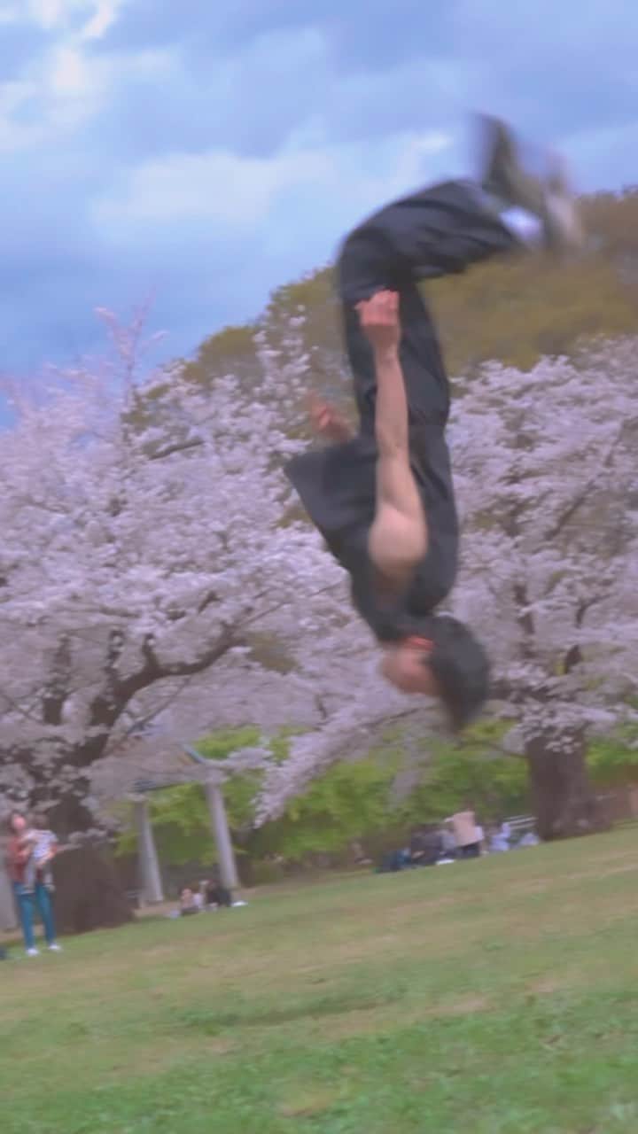 asukaのインスタグラム：「Backflips with SAKURA🌸  I’m from Japan 🇯🇵   How about you?😉  🎥 @maeken_313   #spring #sakura #cherryblossom #acrobatics #backflip」