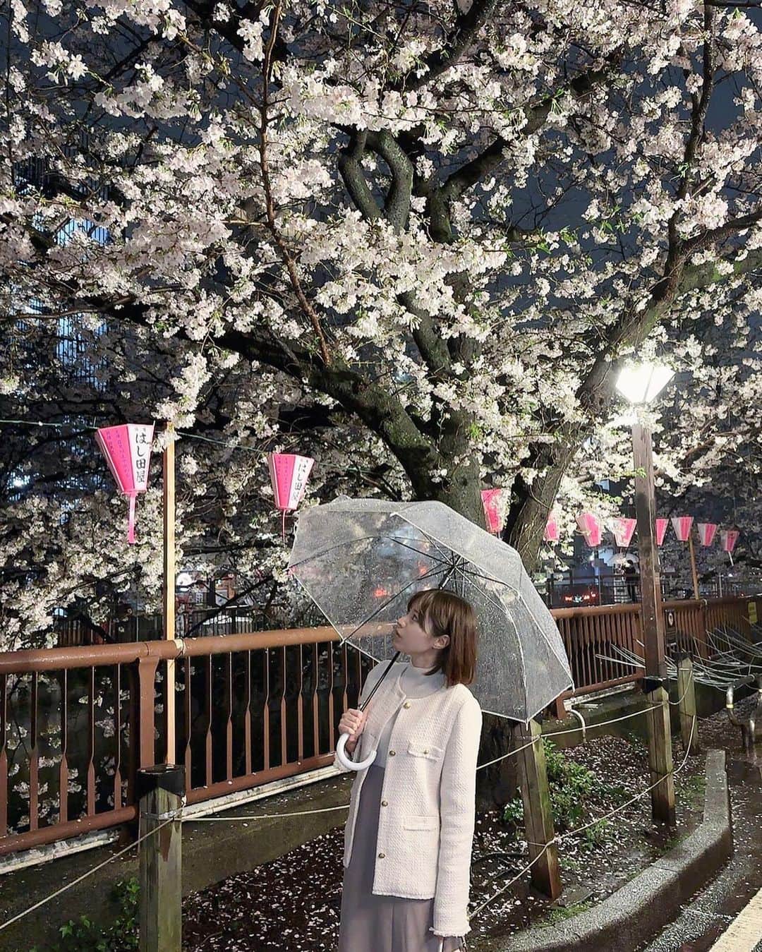 瑠川リナさんのインスタグラム写真 - (瑠川リナInstagram)「3/25 桜満開🌸  #目黒川 #桜 #春 #spring #花見スポット #花見 #グラビア自撮り部 #fantia  #美女図鑑　#自撮り #instalike #instagram #love #likeforlikes #f4f #japanesegirl #japaneseidol #フォローミー #follow #instagood #随手拍 #잘부탁해요 #女孩 #扎心了#sexyasiangirl #sexyactresses #人像攝影　 #被写体 #攝影日記」3月25日 21時17分 - rukarina_insta