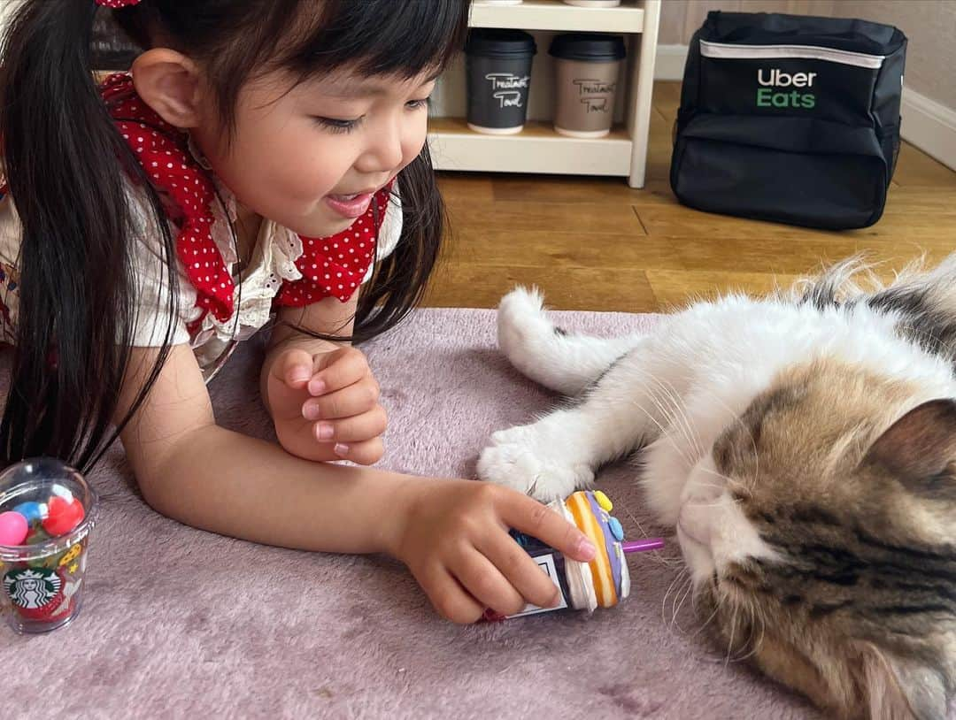 マンチカンのココ王子さんのインスタグラム写真 - (マンチカンのココ王子Instagram)「仲良し✨ モカは娘が生まれた時からずっと側で見守ってくれてたので 娘にとって1番の仲良しにゃんこです✨  #ミヌエット#ミヌエットのモカ王子#ココ王子ファミリー#nyanstagram#catandkid#猫と子ども」3月25日 21時23分 - cocolog_cat