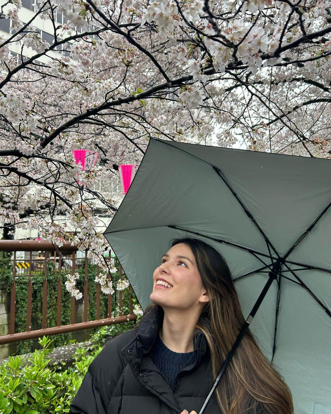 ケリーアンのインスタグラム：「☔️🌸  小雨でちょい寒だったけど お花見散歩出来て良かった〜🌸  📸 @fkncoffee 上手！👏🤩 #sakura #cherryblossom #桜 #nofilter」