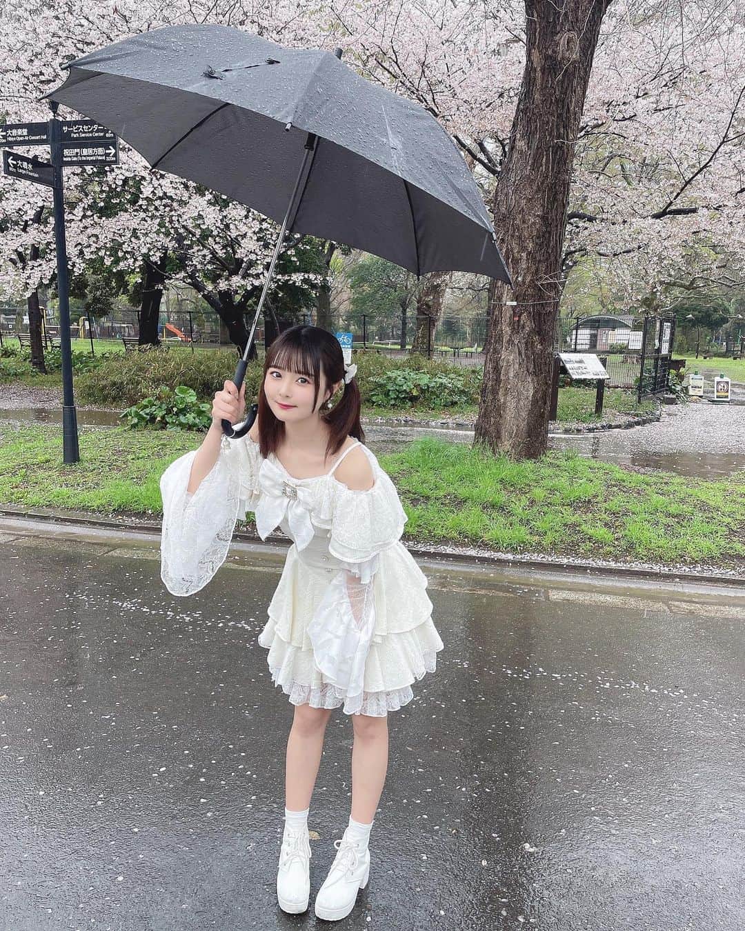 久保田沙矢香のインスタグラム：「日比谷公園さくら咲いてたよ🌸ྀི  雨の中だったけど初野外たのしかった〜🫶🏻！  #日比谷公園 #桜 #お花見 #野外 #野外ライブ #野外フェス #アイドル」