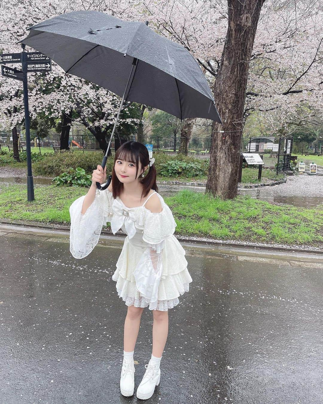 久保田沙矢香さんのインスタグラム写真 - (久保田沙矢香Instagram)「日比谷公園さくら咲いてたよ🌸ྀི  雨の中だったけど初野外たのしかった〜🫶🏻！  #日比谷公園 #桜 #お花見 #野外 #野外ライブ #野外フェス #アイドル」3月25日 21時25分 - kubotasayaka_0113