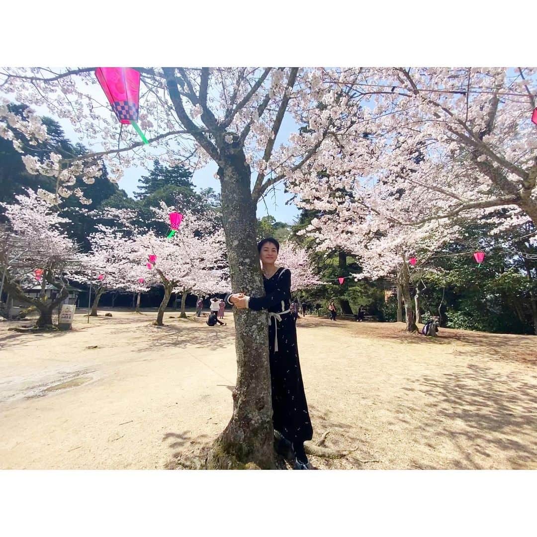 桃生亜希子のインスタグラム：「広島、宮島旅。  　今日は思いの外とても暖かくて、散歩に最高な日。🌞🙏✨  　桜🌸や花々が至る所で咲き乱れ、お花見もできた。🌷🌼  　大阪も広島も外国人観光客で賑わっていて、なんだか楽しい雰囲気。✨ 　 　広島の街は　東京に比べて道が広いし、なんだかゆったりしていてお散歩も心地よかったなぁ。  #街角シリーズだよ　#miyajima #宮島　#家族旅行　#お花見 #hiroshima #familytravel #広島 #春 #spring」