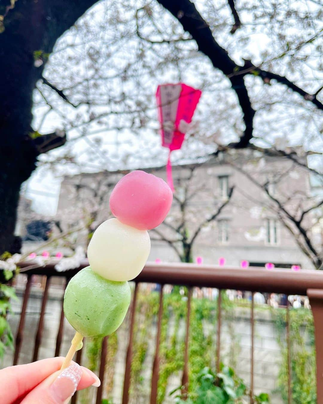 西川七海さんのインスタグラム写真 - (西川七海Instagram)「🌸 ずっと雨続きでかなしい、、 来年は青空の下で綺麗な桜が見れるといいな😌  #お花見 #目黒川」3月25日 21時45分 - n.nanami0703