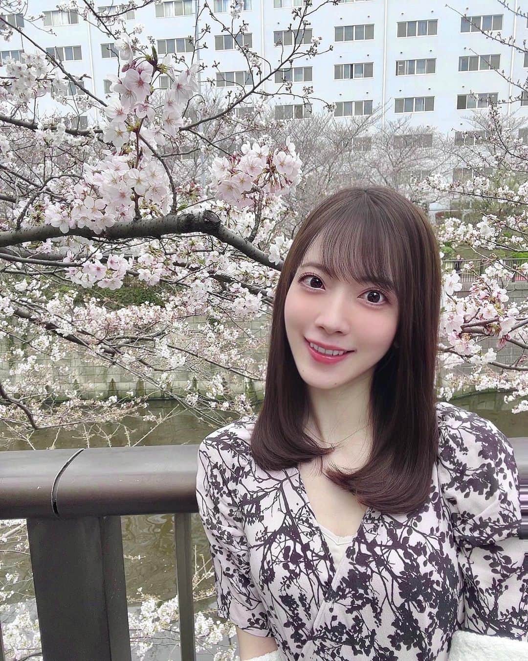 西川七海のインスタグラム：「🌸 ずっと雨続きでかなしい、、 来年は青空の下で綺麗な桜が見れるといいな😌  #お花見 #目黒川」