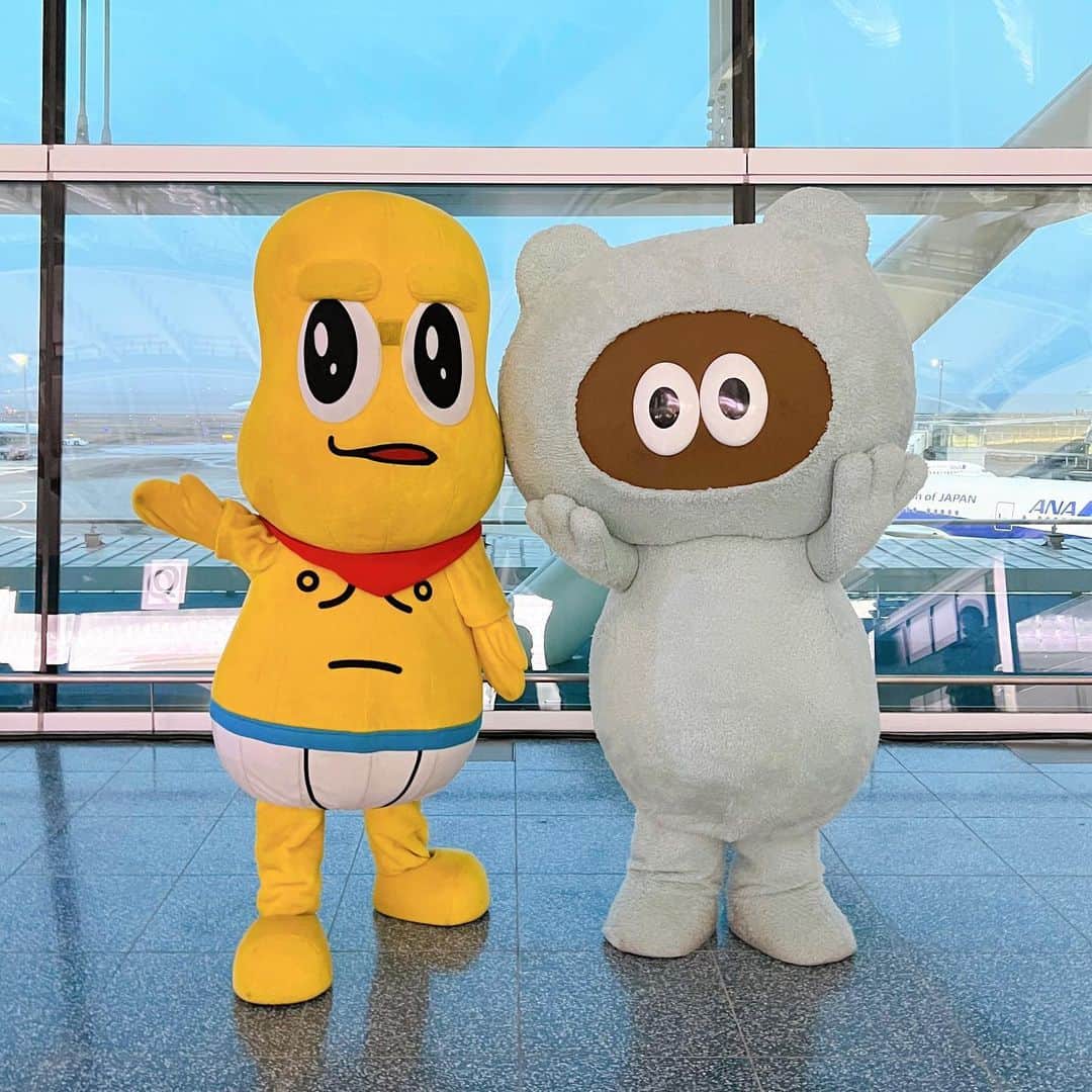 たぬきゅんのインスタグラム：「#MU2023 ✈️ とっても楽しかったよ〜🎧🎶 ぼくのDJはどうだったかな？ 楽しんでもらえてたらいいな〜！！ 空港の中でイベントが出来るってすごいよね？飛行機が見えるの面白かったなぁ。今年で最後だったんだって。  DJたぬきゅんの次がピーナッツくんのライブで、すごくかっこよかったよ🥜 一緒にお写真撮ってもらったよ〜( (Ꙭ) )！！」