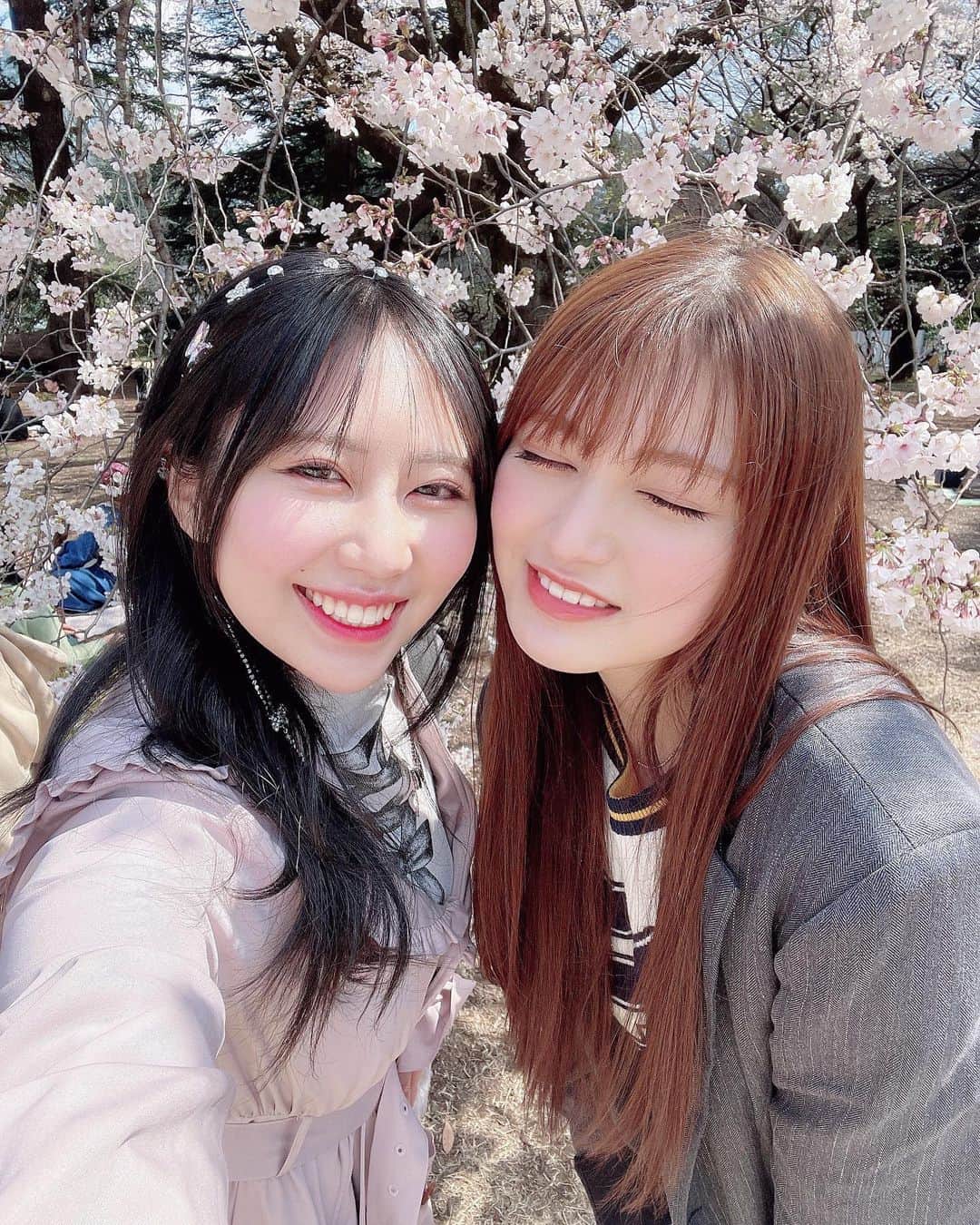上野遥さんのインスタグラム写真 - (上野遥Instagram)「🌸🌸🌸  結衣と桜を見ました〜！  時間的に少しだけだったけど、 晴れてた日で暖かくて最高でした🥹！  #新宿御苑 #初めて行った #入る前に並んでるの見てたまげました　#お花見 #東京桜」3月25日 21時46分 - harutan.pink
