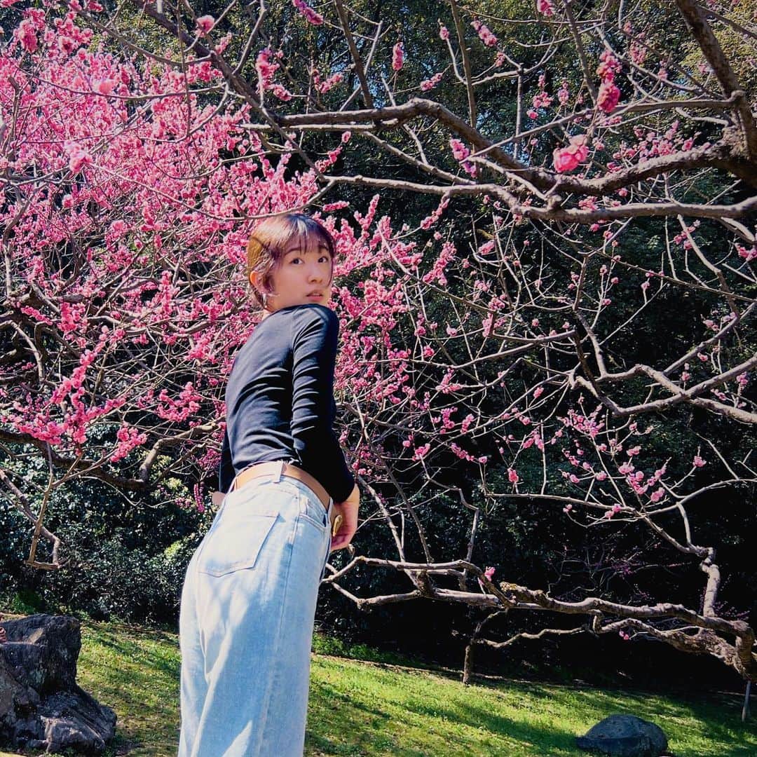 のインスタグラム：「. 日本の四季は美しい。  #桜#山#公園#桜スポット#山登り#お散歩#愛知県#春模様#お花見#花見#花粉症#休日#旅行#日本#春服#日本#ヘアクリップ#ヘアクリップアレンジ#まとめ髪#asia#japanese#cherryblossom#follow#following #springflowers#japan#aichi#view」