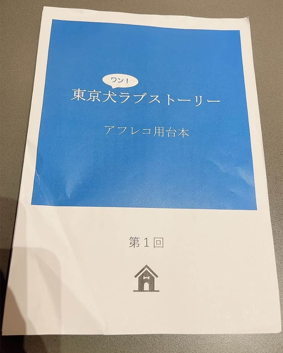 水樹奈々さんのインスタグラム写真 - (水樹奈々Instagram)「#水樹奈々ブログ  2023/03/19 プロのワンちゃん達の仕事ぶりと可愛さに癒されました😍💕  3/22(水)から放送になるドラマ「東京犬ラブストーリー」で、チワワのマリー役の吹き替えを担当させていただくことになりました❗️ CGではなく、本物のワンちゃん達がメインキャストとなってお芝居を繰り広げるという、なかなかない機会にお声掛けいただけたこと、更にチワワの声を担当できたことがとても嬉しかったです😆✨ 収録は、武蔵役の杉田くんと一緒に行ったのですが、ワンちゃん達のお芝居が素晴らしくて、2人で何度も感動✨ そして水樹的には、武蔵役ののこのお芝居と杉田くんの声のシンクロ率にも感動！そしてあまりの可愛さに何度も笑ってしまいました🤣 みなさんぜひぜひ放送をチェックしてくださいね😊✨」3月25日 22時18分 - mizuki.nana.unofficial