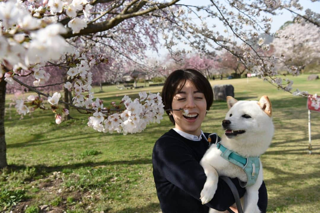 薄田ジュリアさんのインスタグラム写真 - (薄田ジュリアInstagram)「☑︎ 無垢の生誕１周年記念と 私の番組卒業記念を兼ねた小旅行♩  これまで報道ランナーをご覧頂いた皆様、 本当にありがとうございました(*´꒳`*)  ４月からは新たな世界に進みます…☆  あと３回、悔いのないよう臨みます！！  #フリーアナウンサー #報道ランナー #６年間お世話になりました #卒業旅行 #豆柴  #3月25日 #生誕1周年 #birthdaygirl」3月25日 22時30分 - julia_usuda