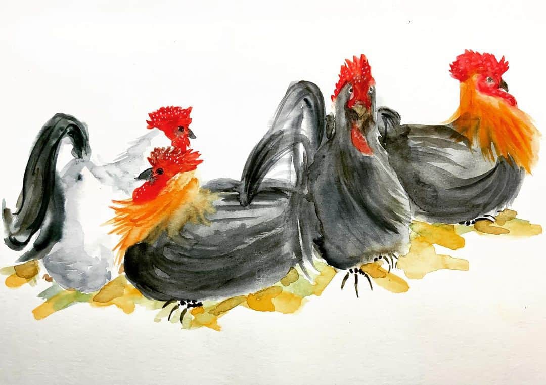 LiLi （矢野り々子）のインスタグラム：「hen  lili 16yrs old  #久しぶりぶりに鶏を描いた #hen #雌鶏 #artwork  #illustration  #drawing  #watercolorpainting  #矢野り々子」