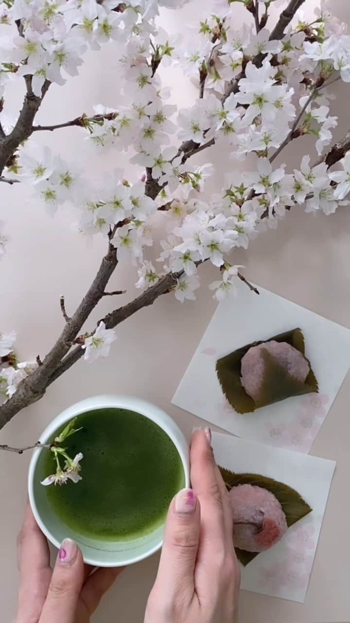 福田淳子のインスタグラム：「Japanese traditional sweets for Spring.   It’s a time for spring  sweets. Sakura mochi is our traditional and iconic sweets for Spring.   サクラサク。 桜の季節。桜餅の季節。 あなたは道明寺派？長命寺派？ お抹茶で一服を。  Sweets &Styling  @junjunfukuda  Styling & Calligraphy @toufuhayama   #calligraphyart #japanesecalligraphy#calligraphystyling#calligraphycordinate ##junkofukuda #桜餅 #さくらもち #桜餅は道明寺派 #桜餅は長命寺派  #japanesetraditionalsweets  #sakuramochi #japaneserecipe」