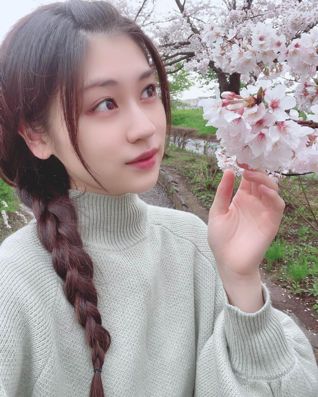 二木蒼生さんのインスタグラム写真 - (二木蒼生Instagram)「雨降ったけど桜散っちゃわなくてよかった🌸 満開ですごくきれいだった~  #桜 #春 #お花見 #春を感じる #満開」3月25日 23時27分 - aomushi_kune2