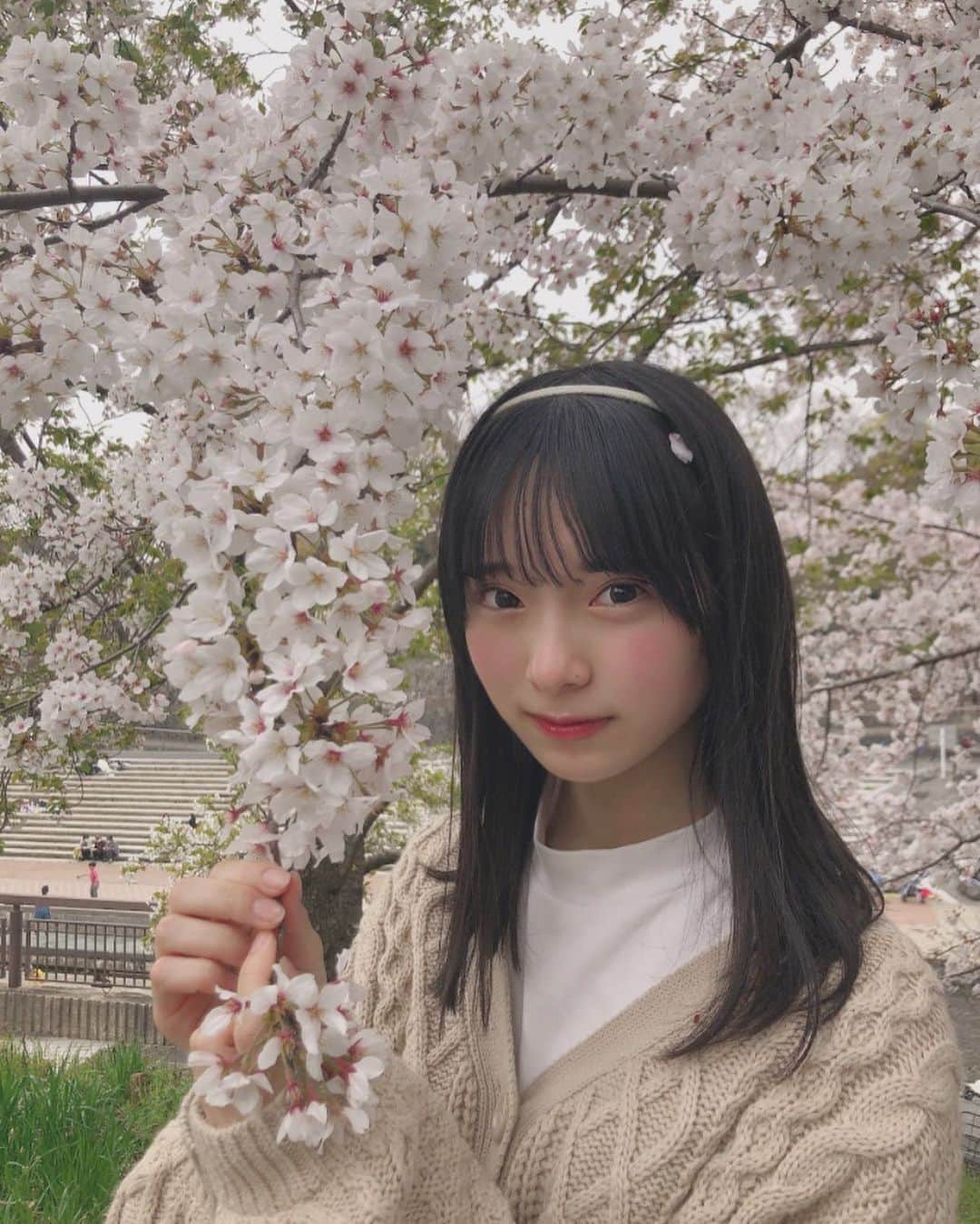 三宅ゆりあのインスタグラム：「桜  #過去pic #桜 #お花見 #デート #デートコーデ #あざとくて何が悪いの #あざとい #05 #05line #jk #jkブランド #jkの素敵な思い出 #sjk」