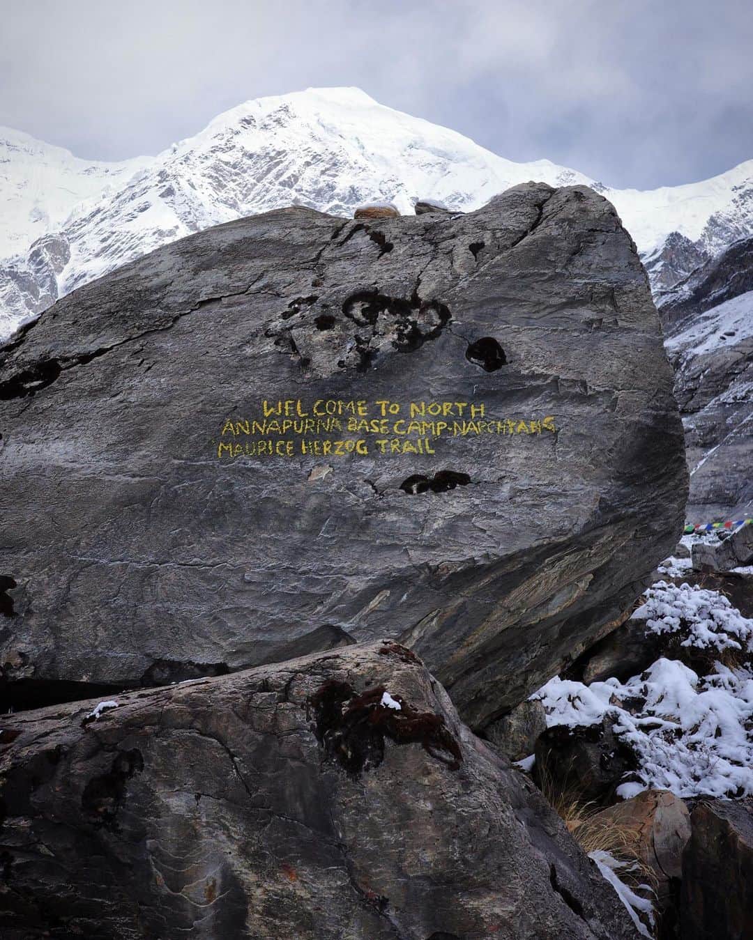石川直樹さんのインスタグラム写真 - (石川直樹Instagram)「#Annapurna, #Nepal. 急転直下で、3月26日朝に小さなプジャをした後、サミットプッシュを開始することになりました。ただ…かなり賭けに出たところがある。C2までは行き、その後は天候を精査しつつ、その先に進むか決める。もし悪天ないし、雪の状態が悪そうならBCに引き返し、再びプッシュの機会をうかがう。 以下、予定。 3/26: BC→C1 3/27: C1→C2 3/28: C2→C3 3/29: C3→C4 3/30: C4→summit→C4 3/31: C4→BC 自分の勘でしかないが、この予定通りには行かない気がする…。今は雪が降りすぎている。 とにかく、このアンナプルナが、自分にとって、ネパールの8000m峰としては最後の山になるので、ベストを尽くして撮影する。エベレスト、カンチェンジュンガ、ローツェ、マカルー、ダウラギリ、マナスルに続く、総仕上げの山。ネパールから登る8000m峰は、アンナプルナで最後です。 行ってきます。 . 1枚目はプジャの祭壇。2枚目はアンナBCのサイン。3枚目はミンマGとケーキ。4枚目は仲間が撮ってくれた自分。 . 上には衛星電話は持っていかないので、しばらく更新は途絶えます。 . #Himalayas」3月25日 23時45分 - straightree8848