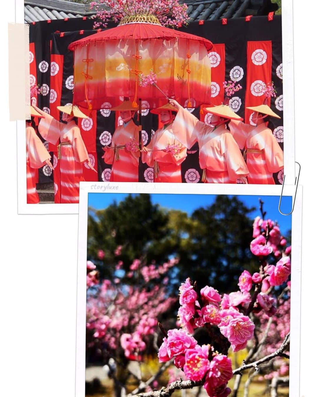 風谷南友のインスタグラム：「本日3/26日は、京都山科「隨心院」の 4年ぶりの開催の『はねず踊り』です🌸✨  私もミス小野小町の時に、参加させて頂きましたが、素晴らしいお祭りです。  美しいお堂に、美しい梅園✨もう桜も咲いているそうです🌸✨✨  庭園では美味しい和菓子も頂けました。  先日、大好きな蜷川実花さんが、写真を撮りにいらっしゃってました！🌸✨感動  是非お出掛け下さいませ✨✨✨」