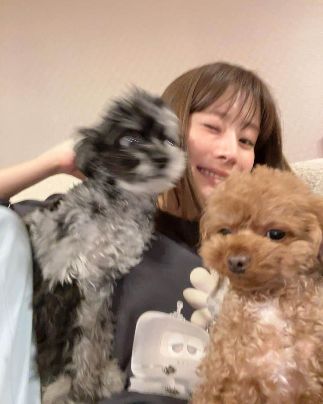 福岡みなみさんのインスタグラム写真 - (福岡みなみInstagram)「・ 仲良し3人家族🙎‍♀️🐶🐶」3月26日 2時26分 - fukuokaminami373