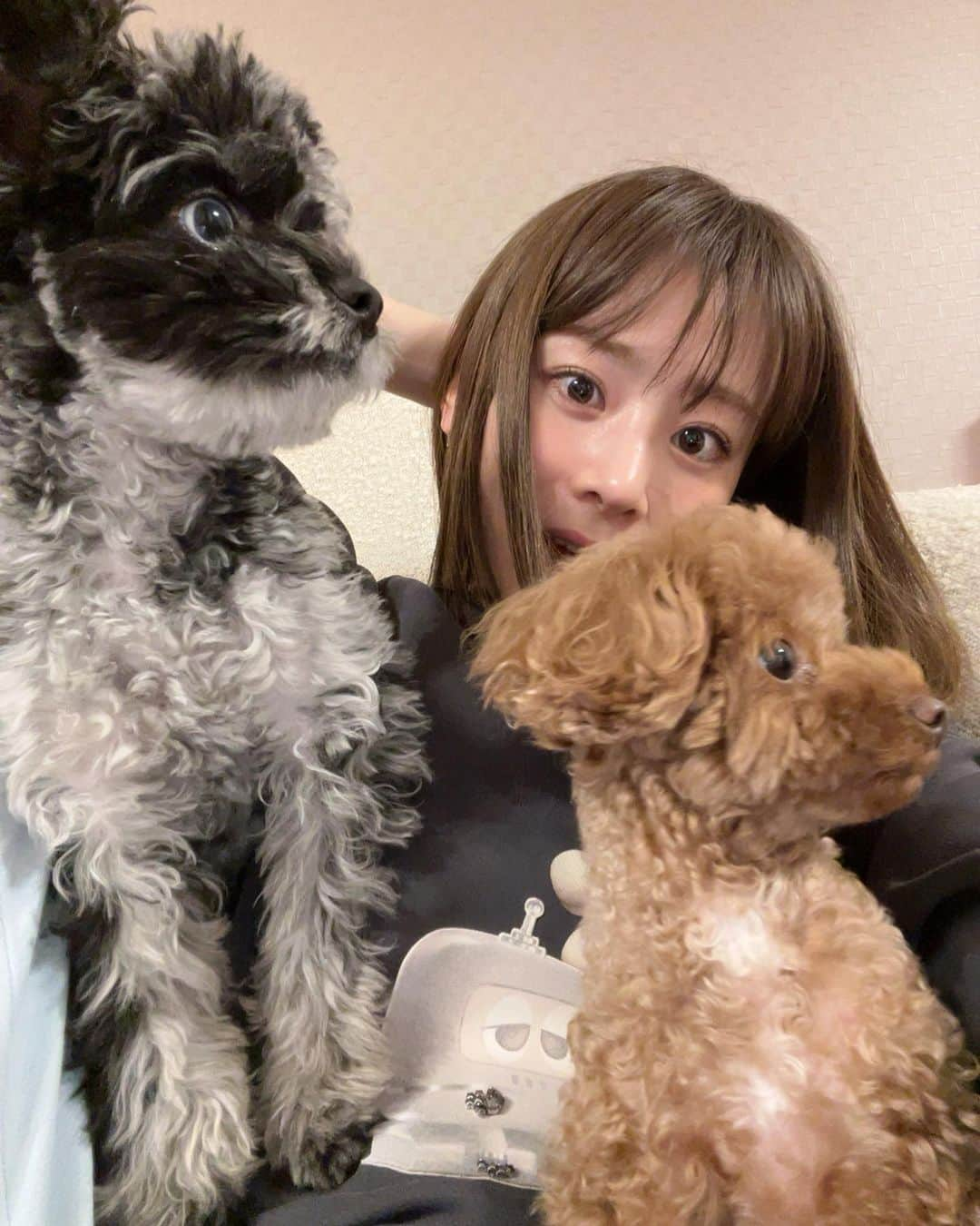 福岡みなみさんのインスタグラム写真 - (福岡みなみInstagram)「・ 仲良し3人家族🙎‍♀️🐶🐶」3月26日 2時26分 - fukuokaminami373