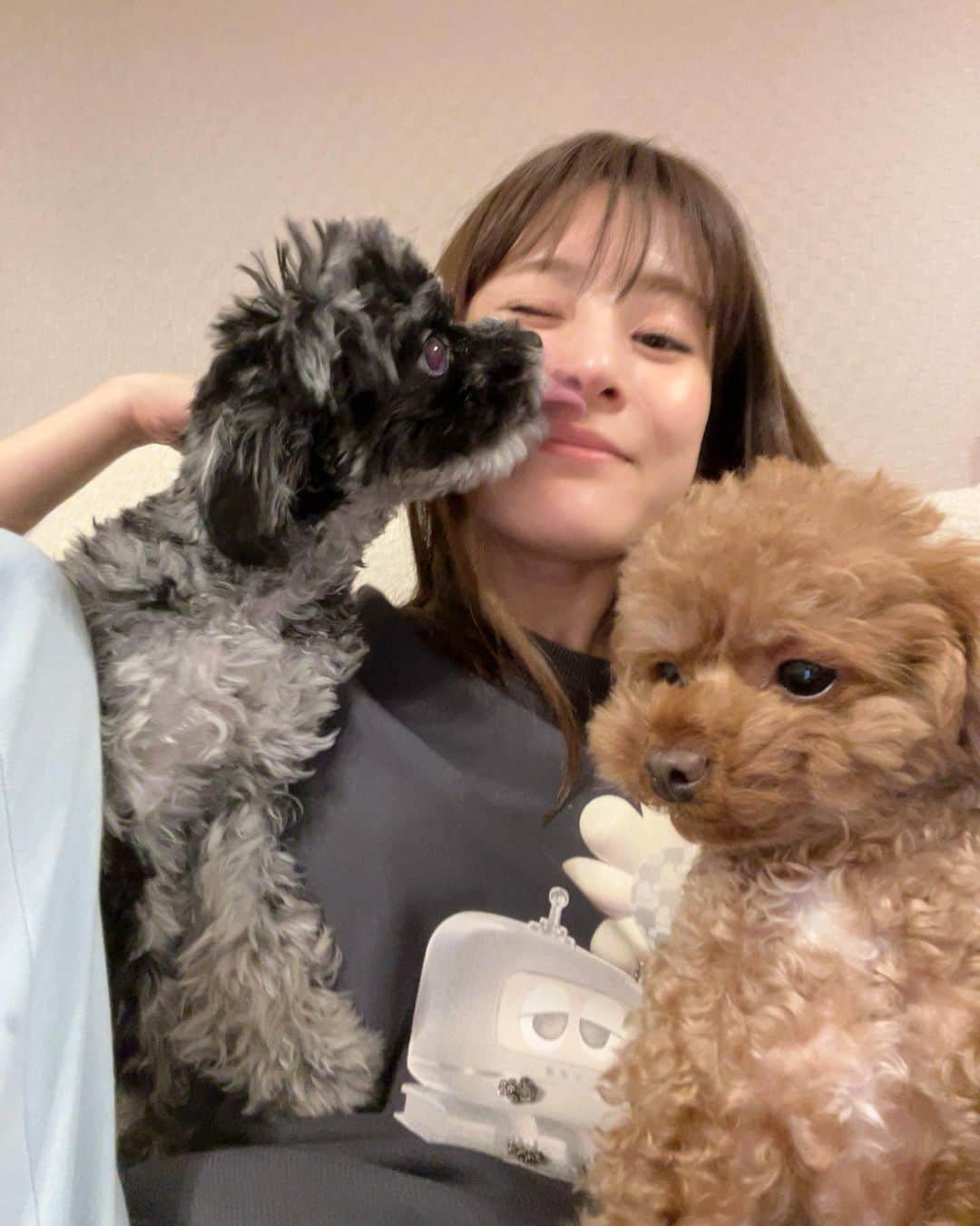 福岡みなみさんのインスタグラム写真 - (福岡みなみInstagram)「・ 仲良し3人家族🙎‍♀️🐶🐶」3月26日 2時26分 - fukuokaminami373