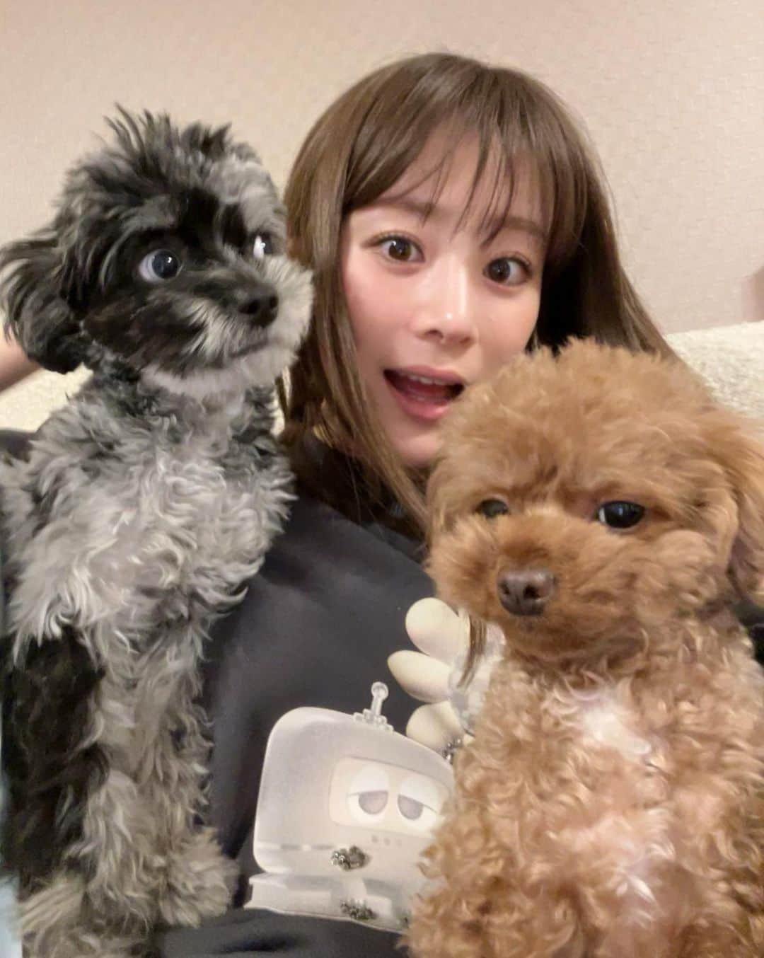 福岡みなみさんのインスタグラム写真 - (福岡みなみInstagram)「・ 仲良し3人家族🙎‍♀️🐶🐶」3月26日 2時26分 - fukuokaminami373