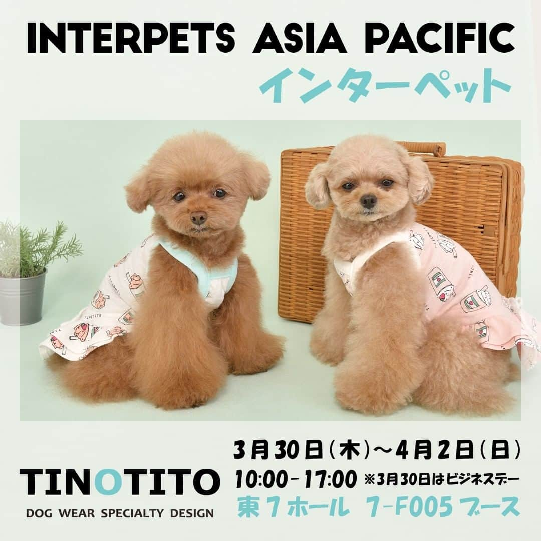 TINOTITO -ティノティート-さんのインスタグラム写真 - (TINOTITO -ティノティート-Instagram)「💖イベント出展情報💖  3月30日(木)～4月2日(日) 東京ビッグサイトで開催されます 『第12回　インターペット』に出展致します！  商品はイベント限定価格なので、とてもお得にご購入頂けます✨ そしてフォトブースもありますので、 ぜひ映え写真を撮ってみて下さいね💕💕  ＊＊＊＊＊＊＊＊＊＊＊＊＊＊＊＊＊＊＊＊ ◆開催日時◆ 3月30日(木)～ 4月2日(日)　 10:00-17:00 ※3月30日はビジネスデーとなります。一般の方は3月31日よりご入場頂けます。  ◆開催場所◆ 東京ビッグサイト　東2・3・7・8ホール  東7ホール　7-F005ブースでお待ちいたしております♪  ＊＊＊＊＊＊＊＊＊＊＊＊＊＊＊＊＊＊＊＊  #tinotito #tinotito_shop #ティノティート #wanvoyage #wanvoyage_official #犬 #犬のいる暮らし #犬服 #新作 #犬好きな人と繋がりたい #犬ばか部 #犬ばか倶楽部 #シンプル #2023sscollection #犬の服 #강아지옷 #강아지옷쇼핑몰 #댕댕 #댕댕이 #댕댕옷 #댕댕이옷 #댕댕이옷맛집 #댕댕이옷쇼핑몰 #댕댕이옷쇼핑몰추천 #멍스타그램 #🐶 #interpets #インターペット #インターペット2023」3月26日 7時05分 - tinotito_shop