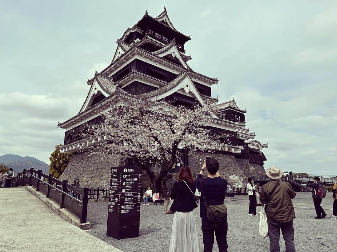 japantripのインスタグラム：「#熊本城  #熊本  #unseenjapan  #kumamoto  #instatravel  #instacastle」