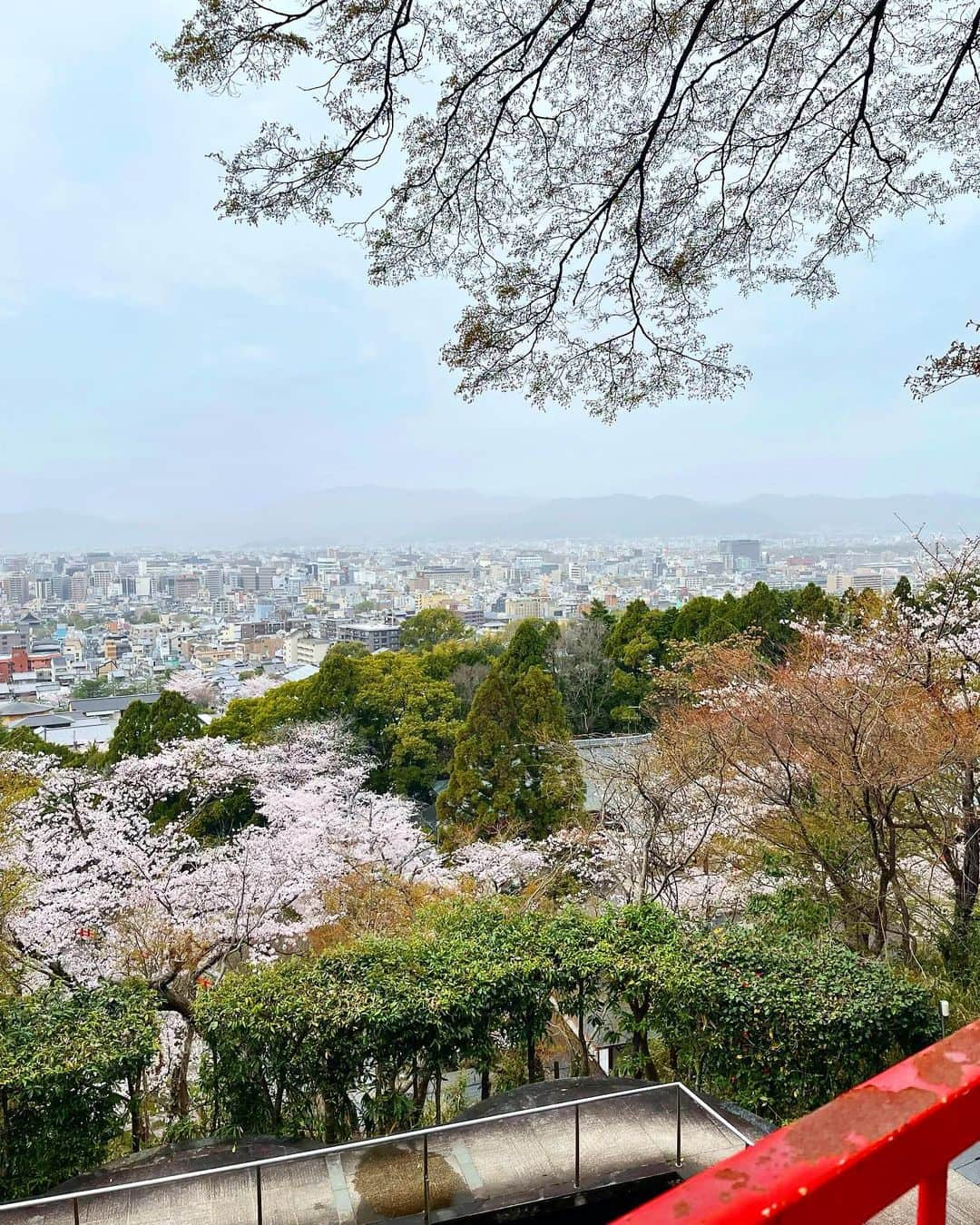 トムセン陽子さんのインスタグラム写真 - (トムセン陽子Instagram)「今回の京都旅行、2日目のお昼、友人達と少しだけ別行動して、霊山護国神社へ。  お墓参りというよりも、 龍馬に会いに行く感覚。  他に誰もいない時間があったので、 ゆっくり話しかけました。  会えて良かった。  またふらっと来るね、龍馬さん。  #龍馬 #京都」3月26日 20時02分 - yokothomsen